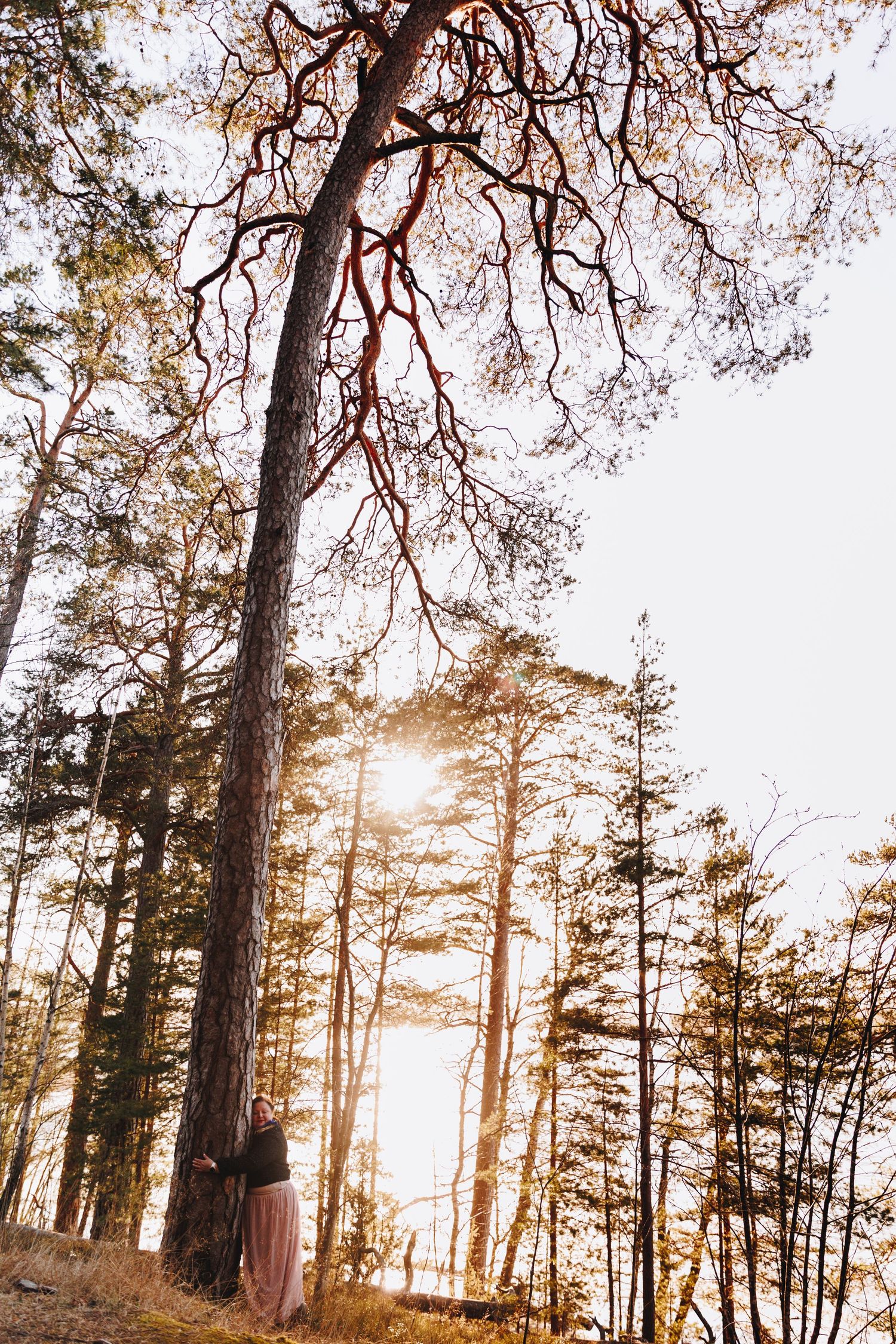 Woman leaning against tall pine tree in sunlit forest at golden hour, surrounded by towering trees.