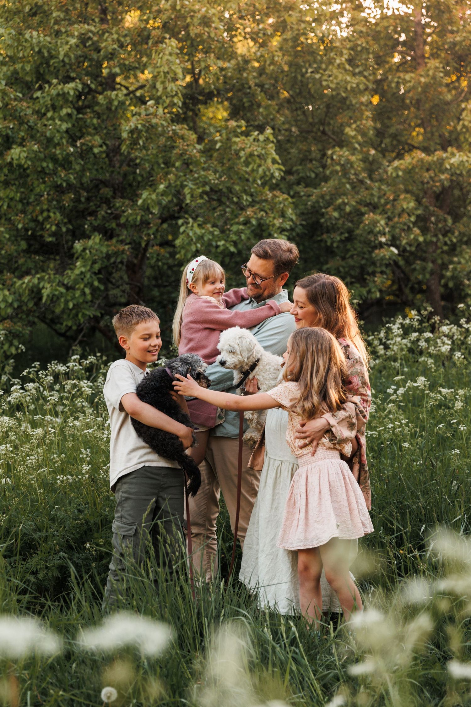 Happy family with two dogs embracing in a sunny meadow surrounded by lush green trees and wildflowers.