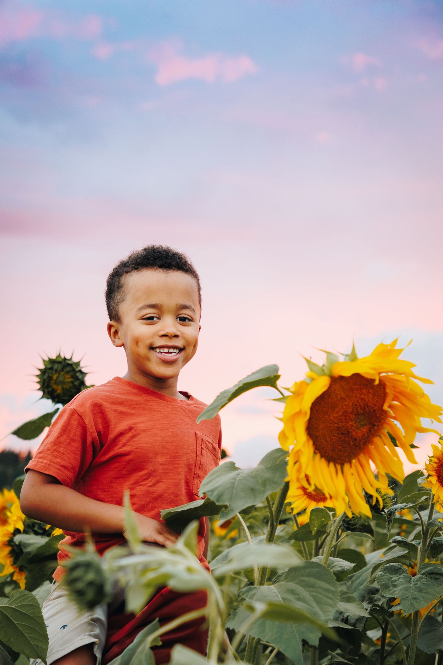 A bright yellow sunflower stands tall next to a child in a red t-shirt against a pink and blue sunset sky.
