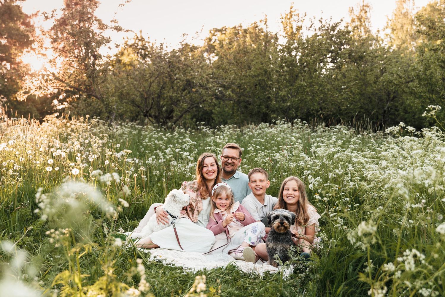Family of five with two dogs sitting in a sunny wildflower meadow, smiling together for a portrait.