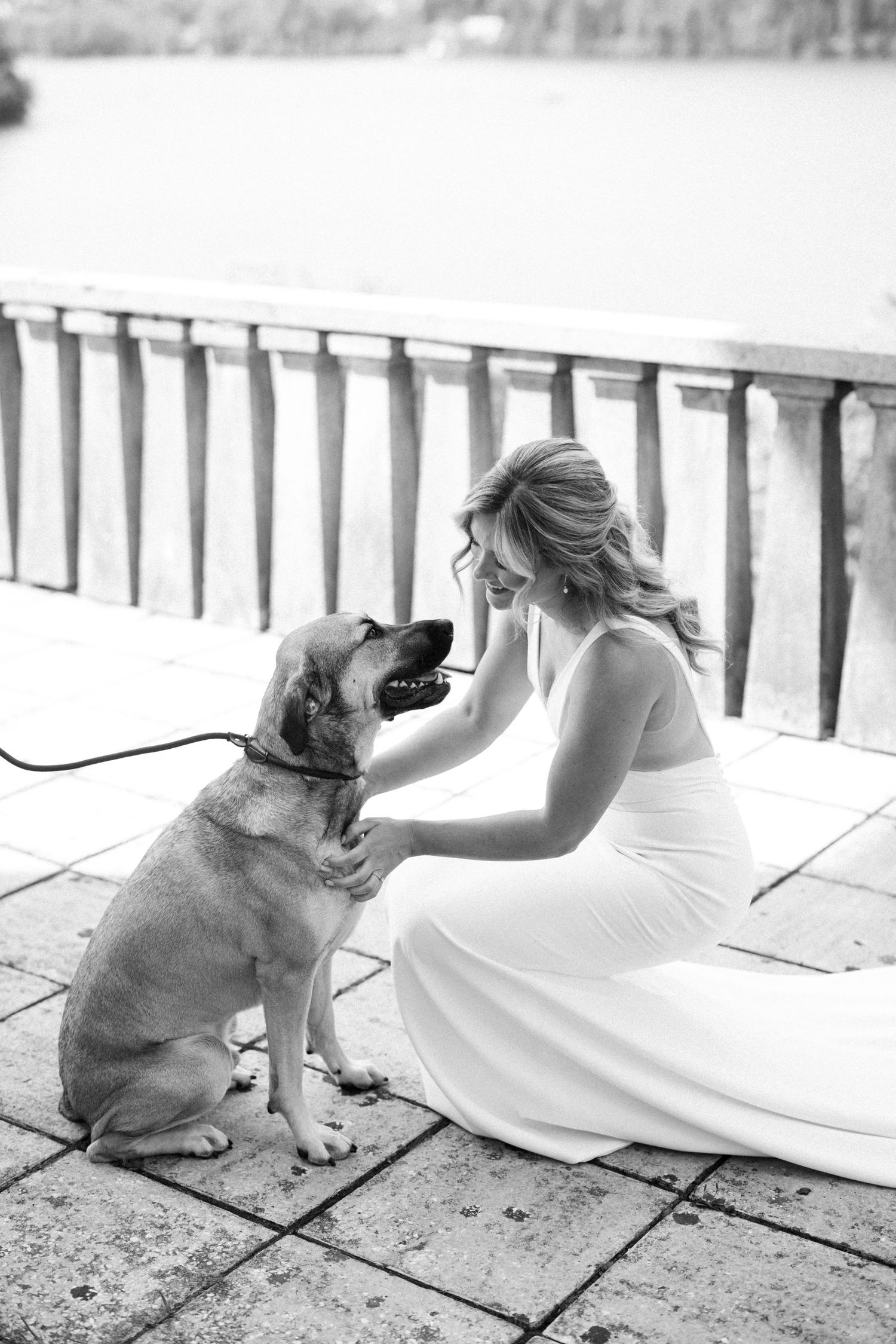 A tender moment between a person in a white dress and their loyal dog on a stone patio overlooking water.