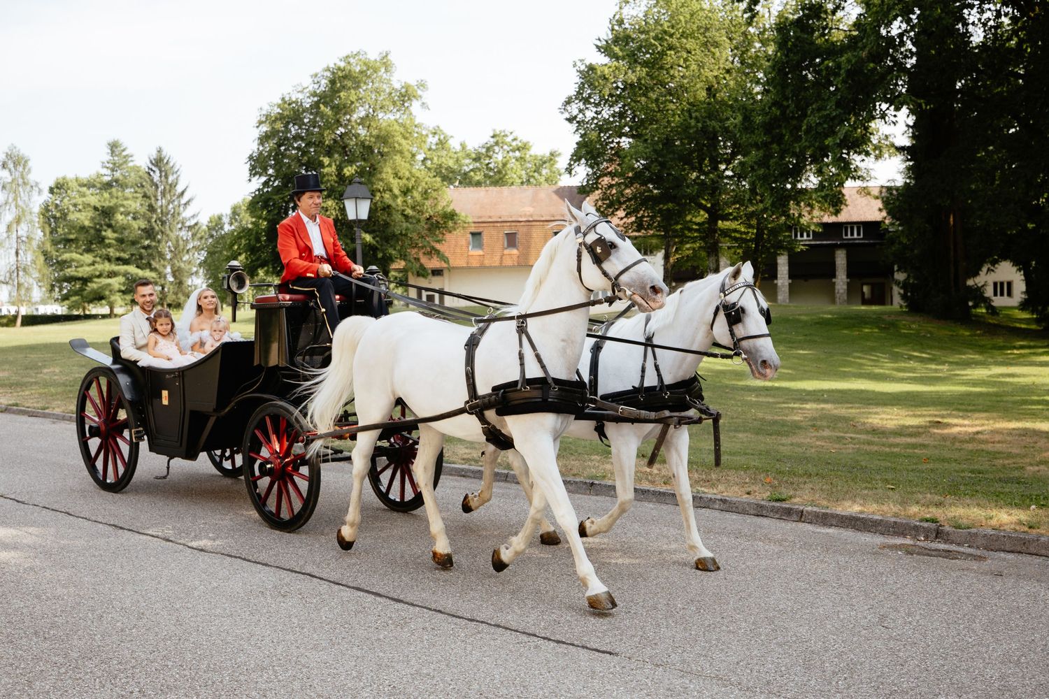 A white horse-drawn carriage travels along a tree-lined path at a historic site on a sunny day.