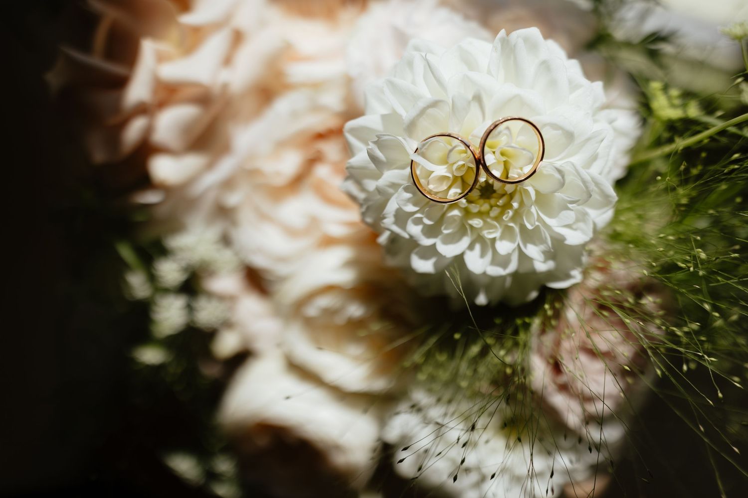 Two gold wedding rings rest atop a white dahlia flower in macro detail.