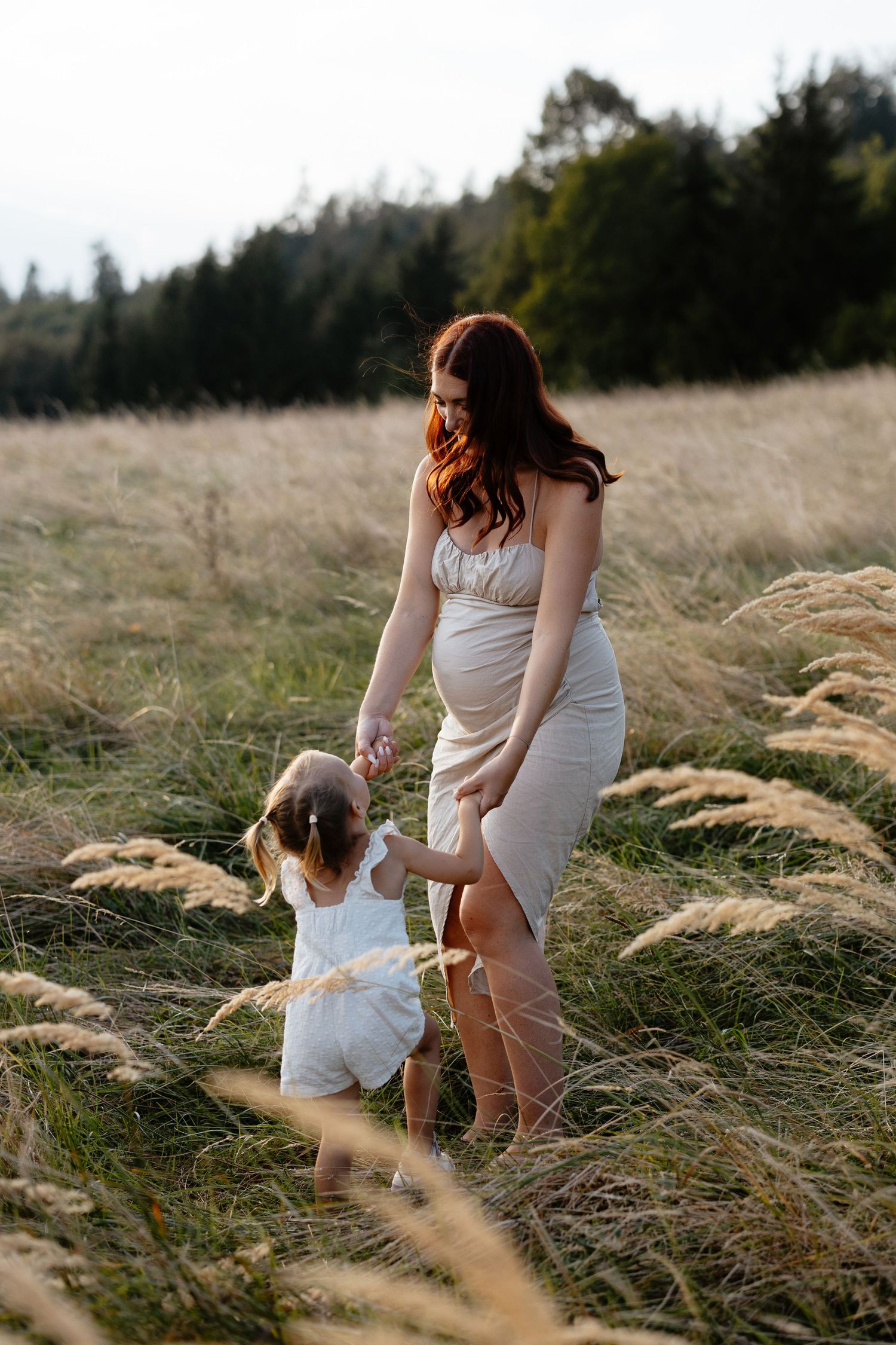 A parent and child walk hand in hand through tall grass at sunset.