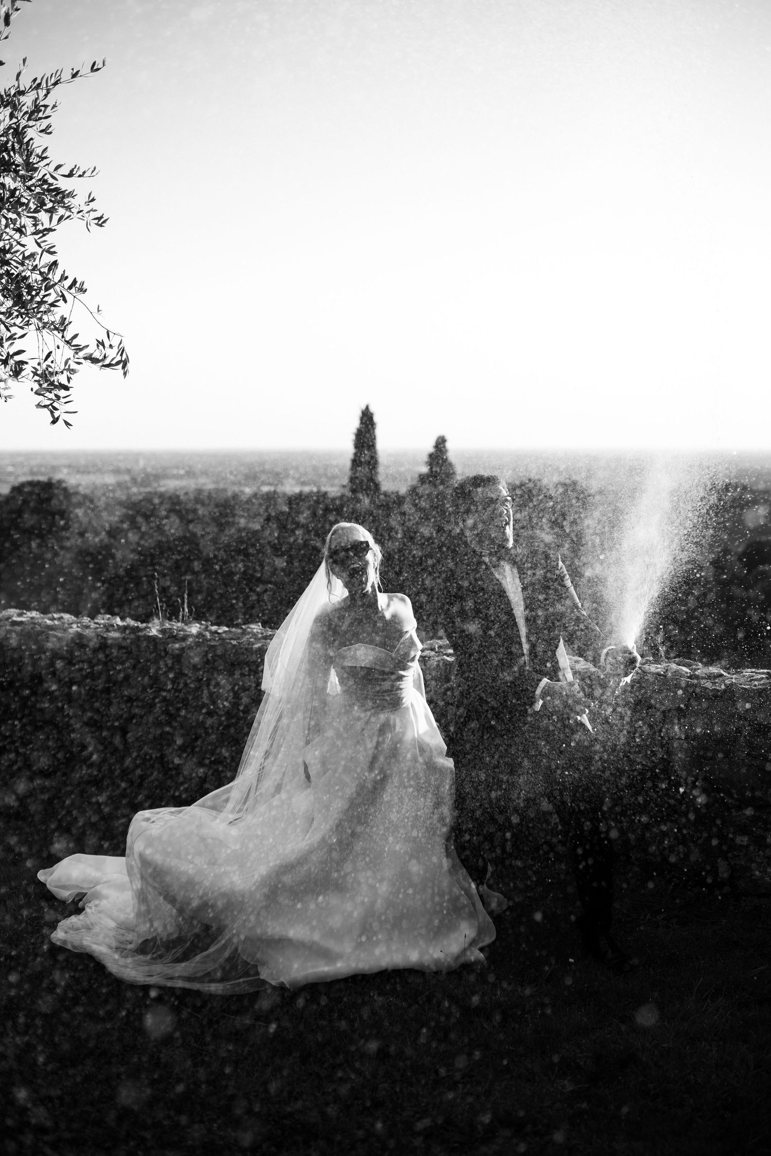 A dreamy black and white wedding photo shows a bride in a flowing gown and veil against a scenic hillside landscape.
