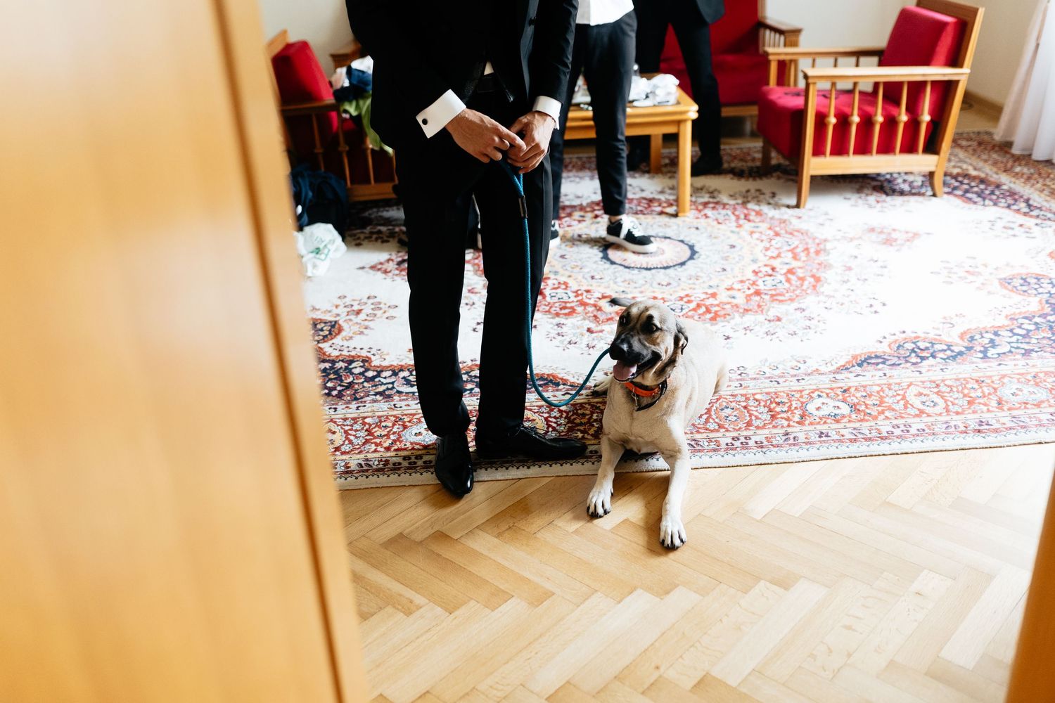 A small dog stands next to someone wearing formal attire on a patterned rug in an indoor setting.