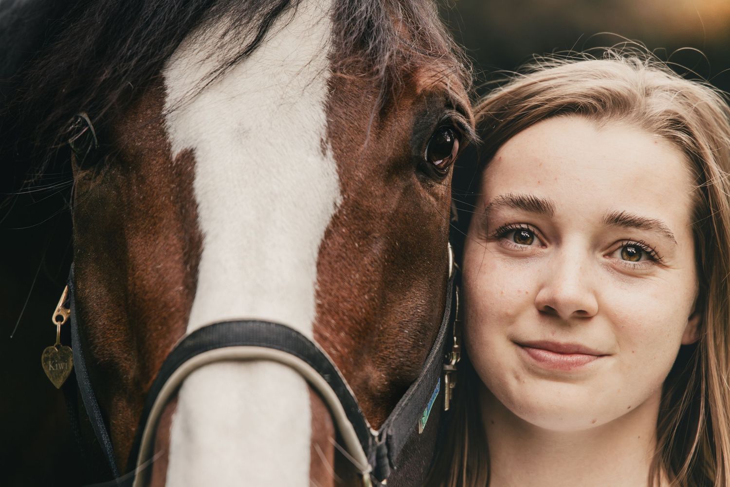 Paard, paardenfotografie, paardenwereld, paardenportret, dierenliefde, horse, horse photography, equestrian.