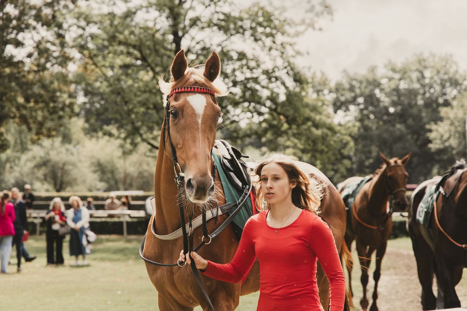 Paard, paardenfotografie, paardenwereld, paardenportret, dierenliefde, horse, horse photography, equestrian, jockey, horse racing, stable.