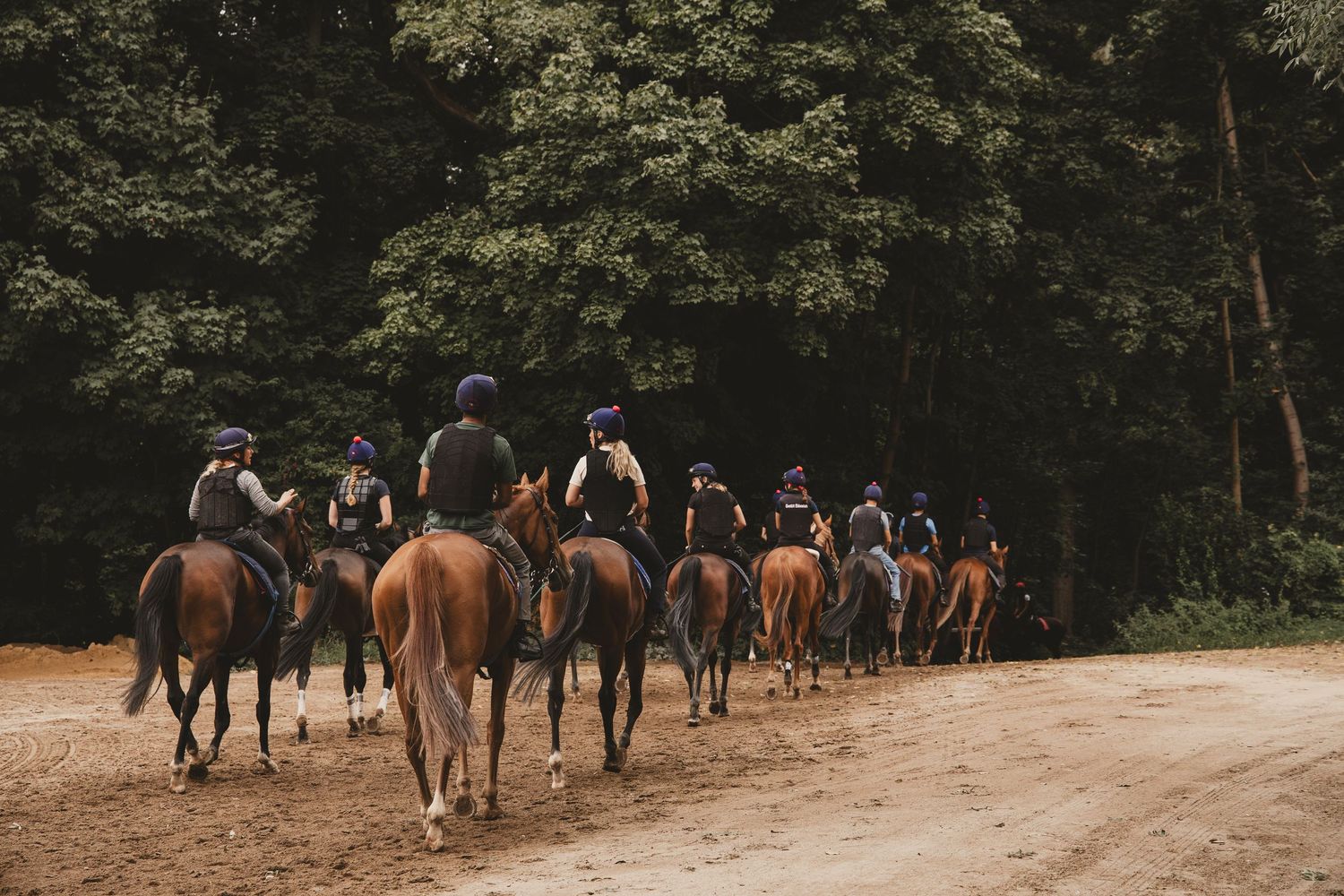 Paard, paardenfotografie, paardenwereld, paardenportret, dierenliefde, horse, horse photography, equestrian, jockey, horse racing, stable.