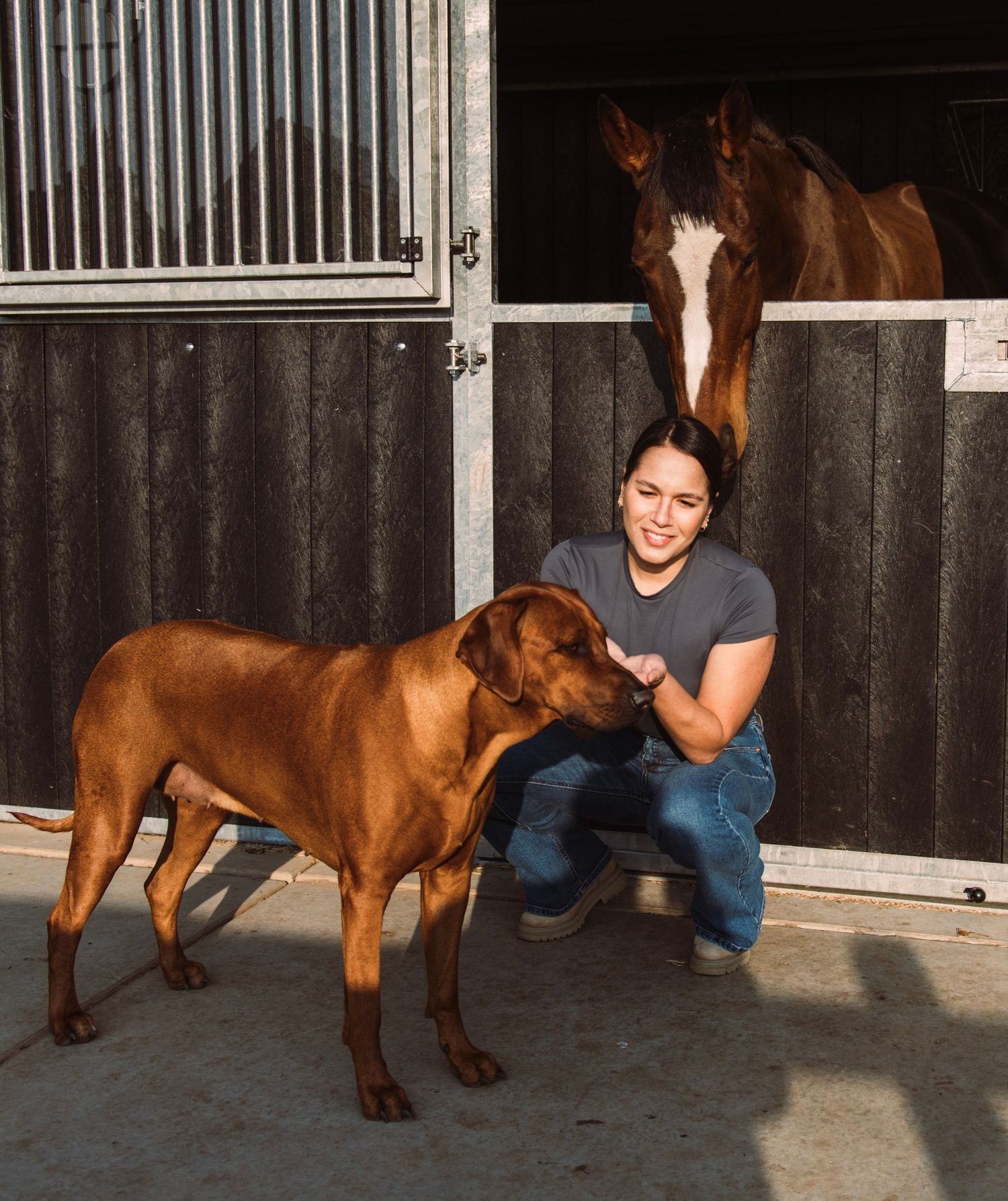 Paard, paardenfotografie, paardenwereld, paardenportret, dierenliefde, horse, horse photography, equestrian, hond, hondenfotografie.