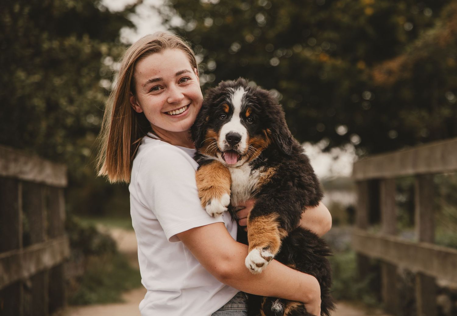 Hond, hondenfotografie, puppy, happy dog, dog photography, bernese mountain dog, berner sennenhond, dierenliefde.