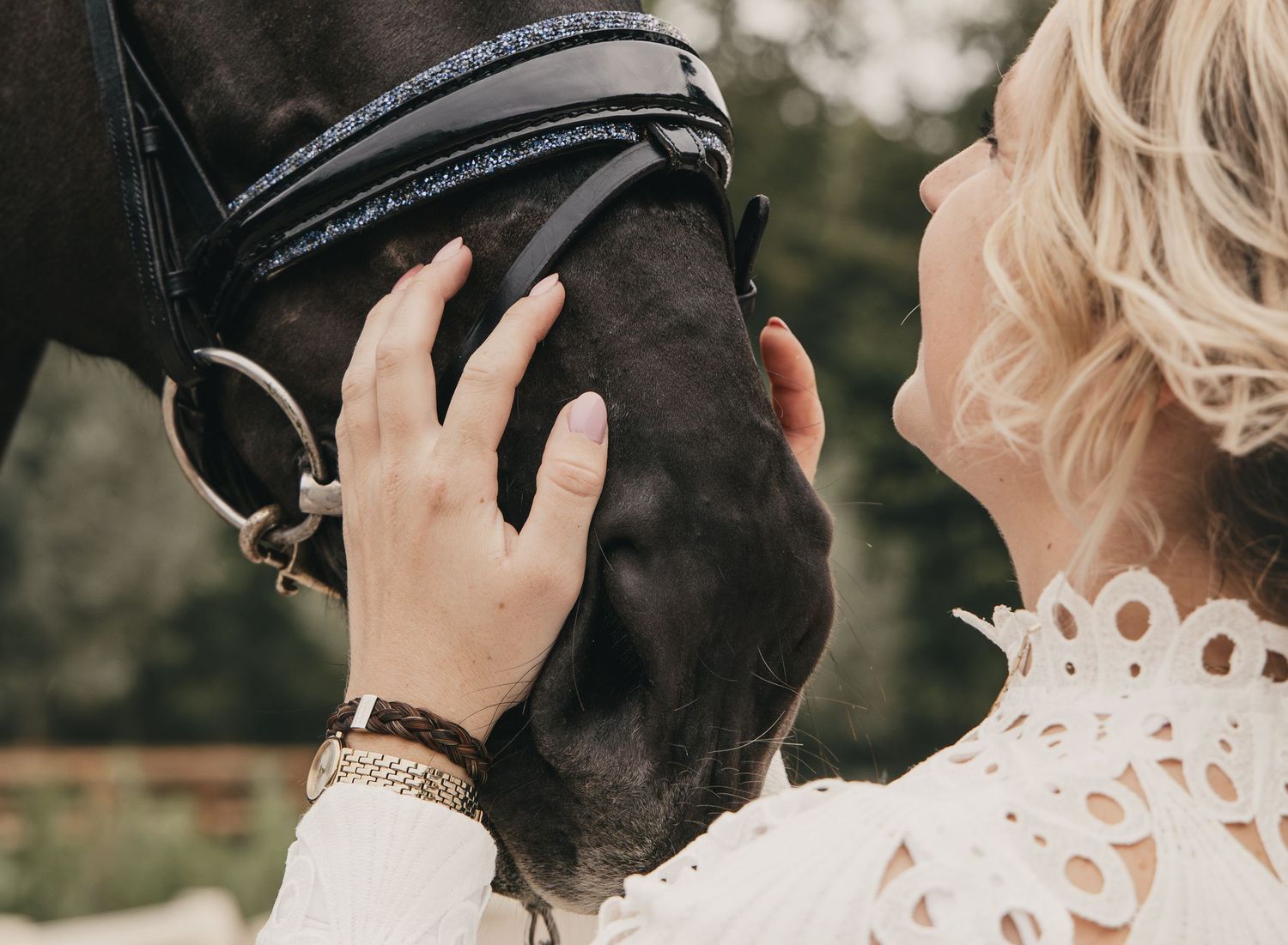 Paard, paardenfotografie, paardenwereld, paardenportret, dierenliefde, horse, horse photography, equestrian.