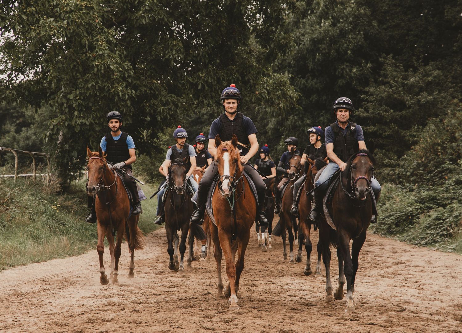 Paard, paardenfotografie, paardenwereld, paardenportret, dierenliefde, horse, horse photography, equestrian, jockey, horse racing, stable.