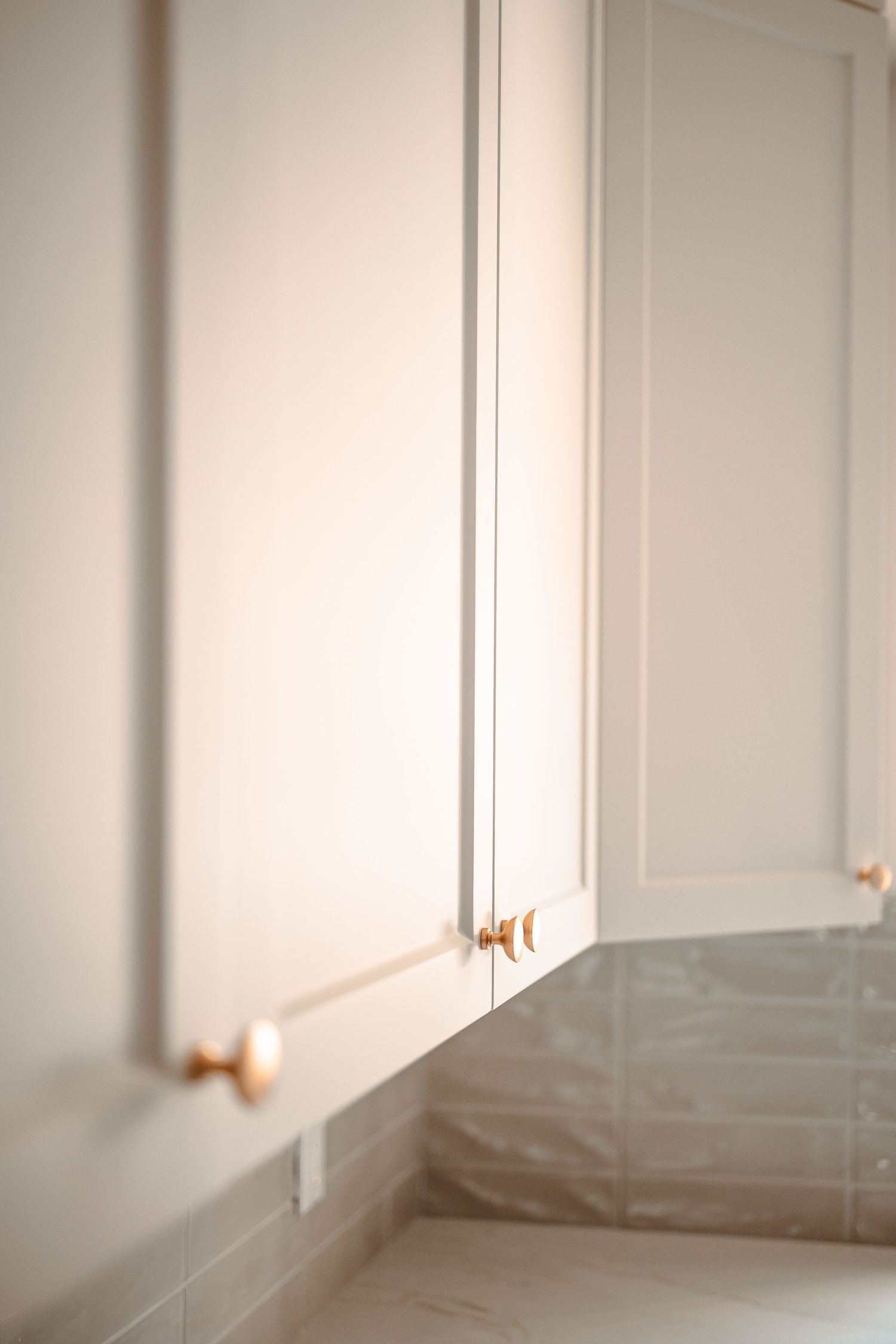 Close-up detail of white cabinet doors with brass hardware and subtle panel detailing.