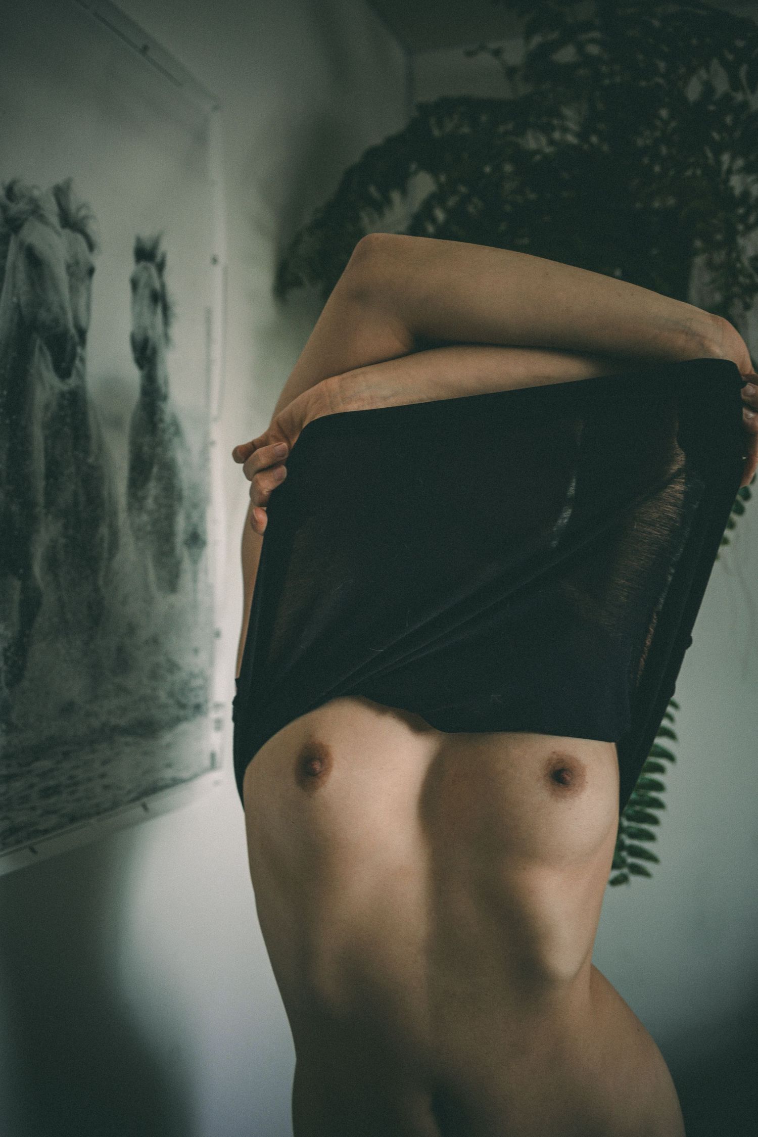 Artistic torso study with natural plant shadows creating texture and depth.
