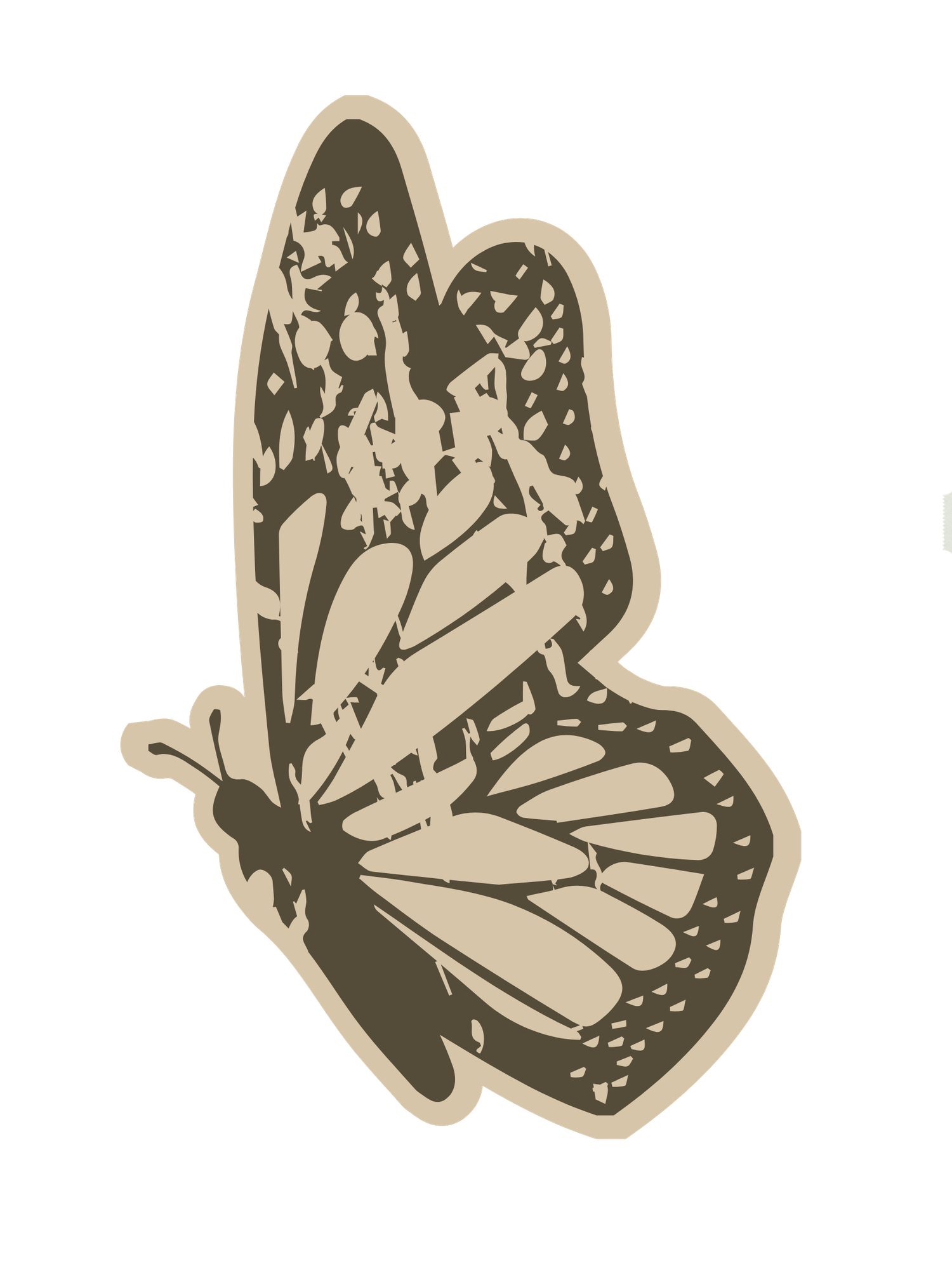 butterfly