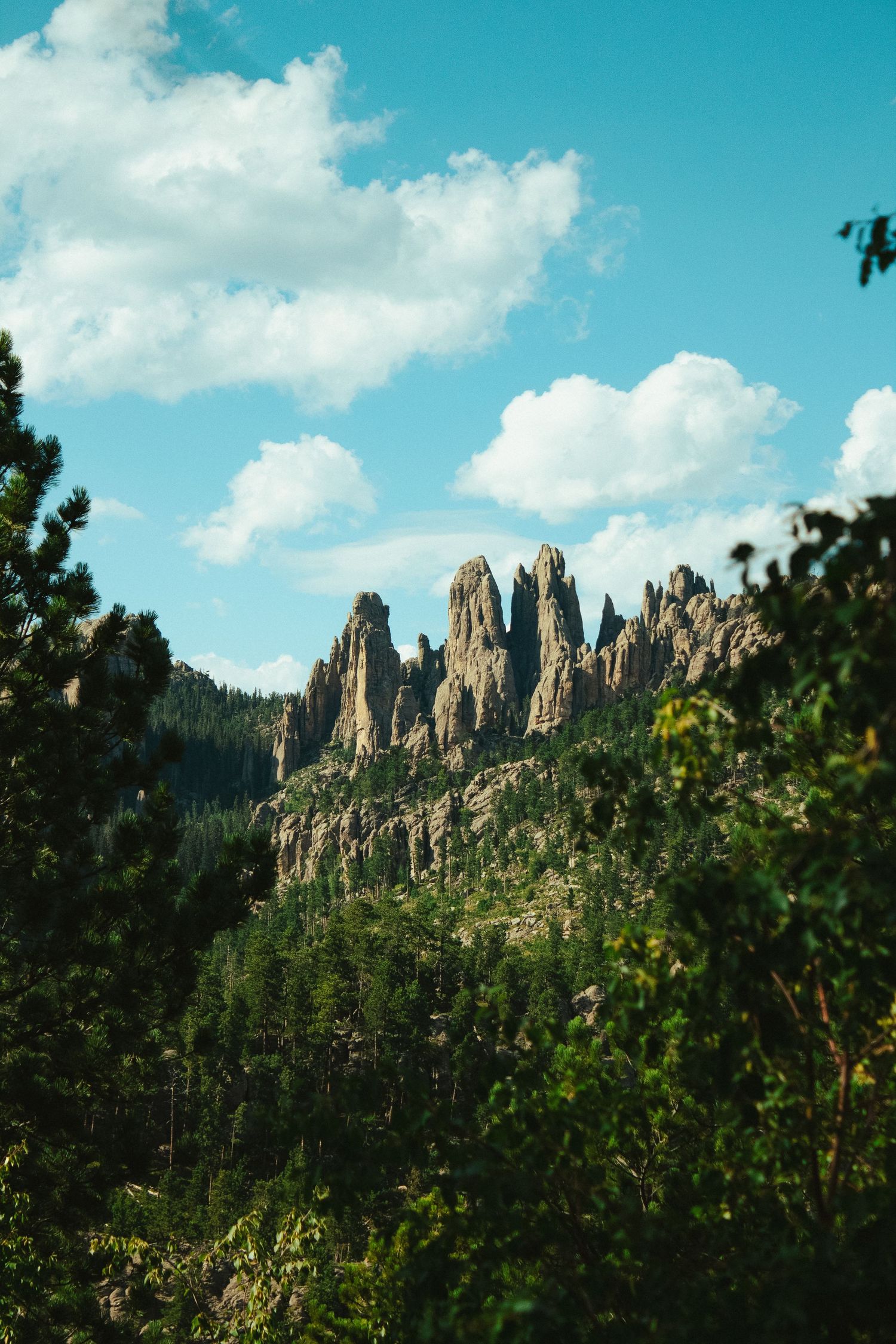 Jagged granite spires of Cathedral Rocks rise above pine forests under a bright blue sky in the Black Hills of South Dakota.