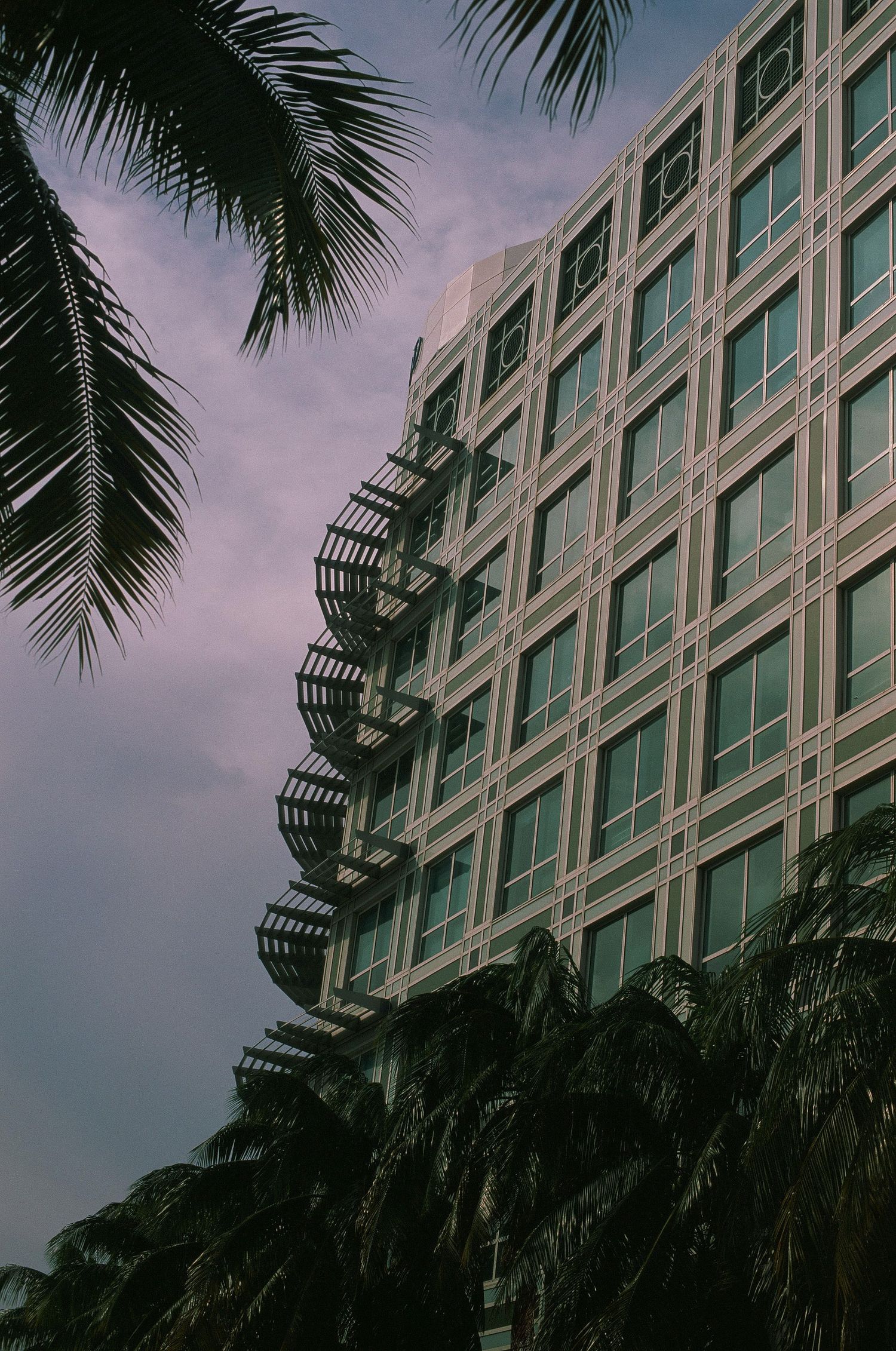 Modern high-rise building with geometric windows framed by palm trees at sunset.