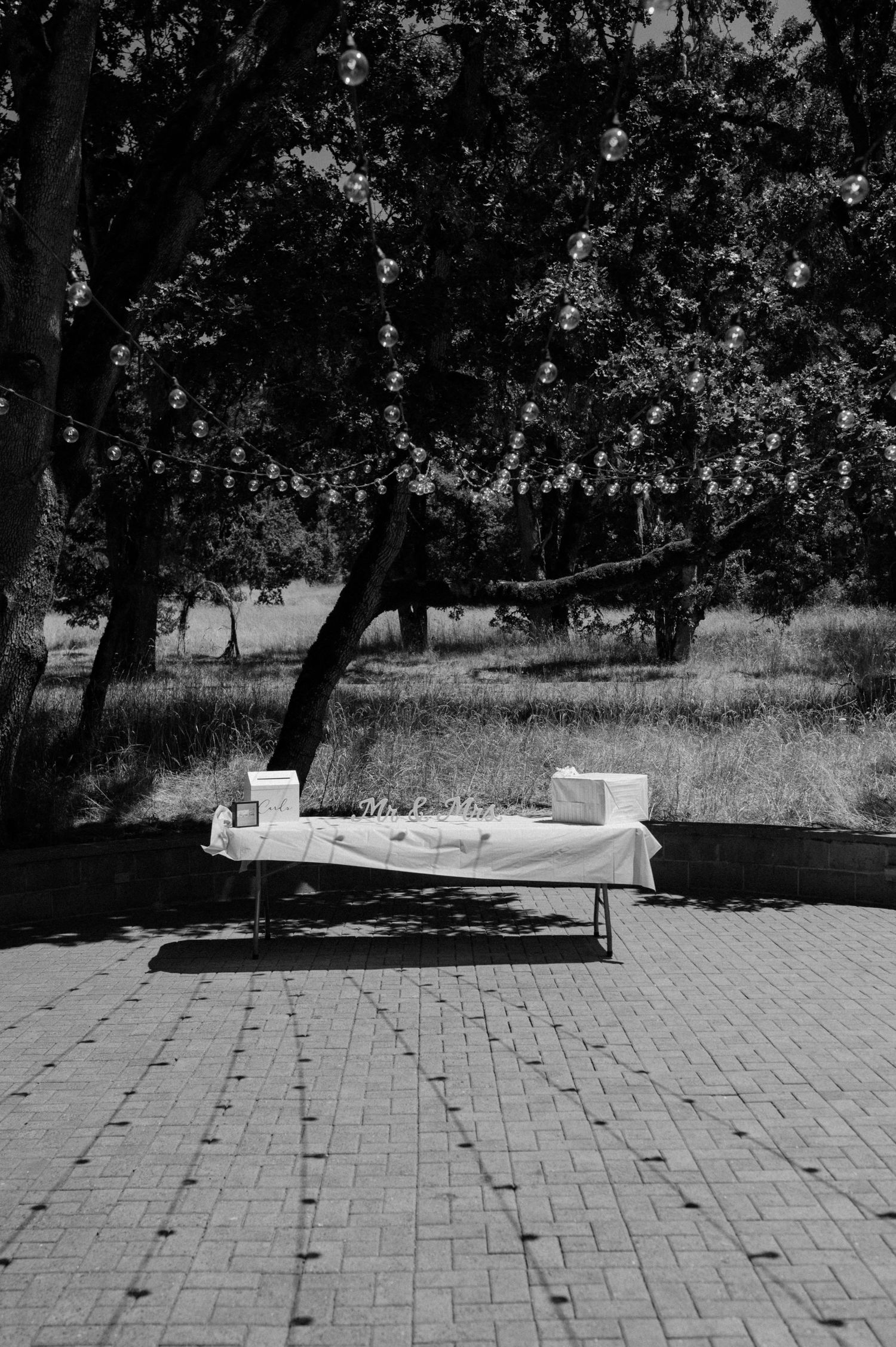 A black and white photo shows a bench resting on patterned brick pavers in a shaded outdoor setting.