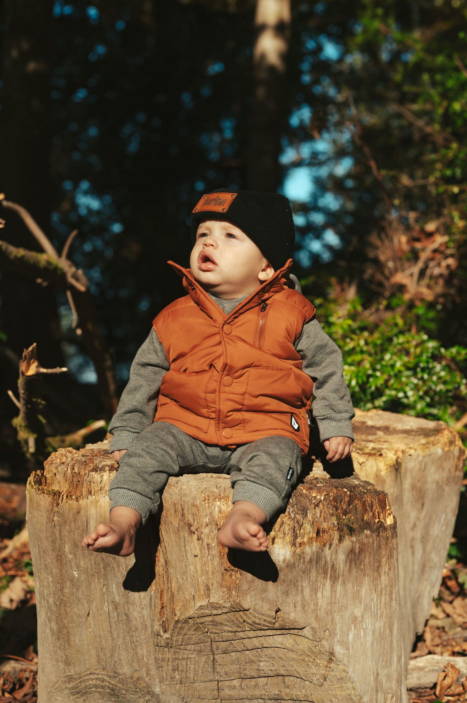 A small child wearing a brown vest and gray shirt reclines comfortably on a large tree stump in a sunlit outdoor setting.