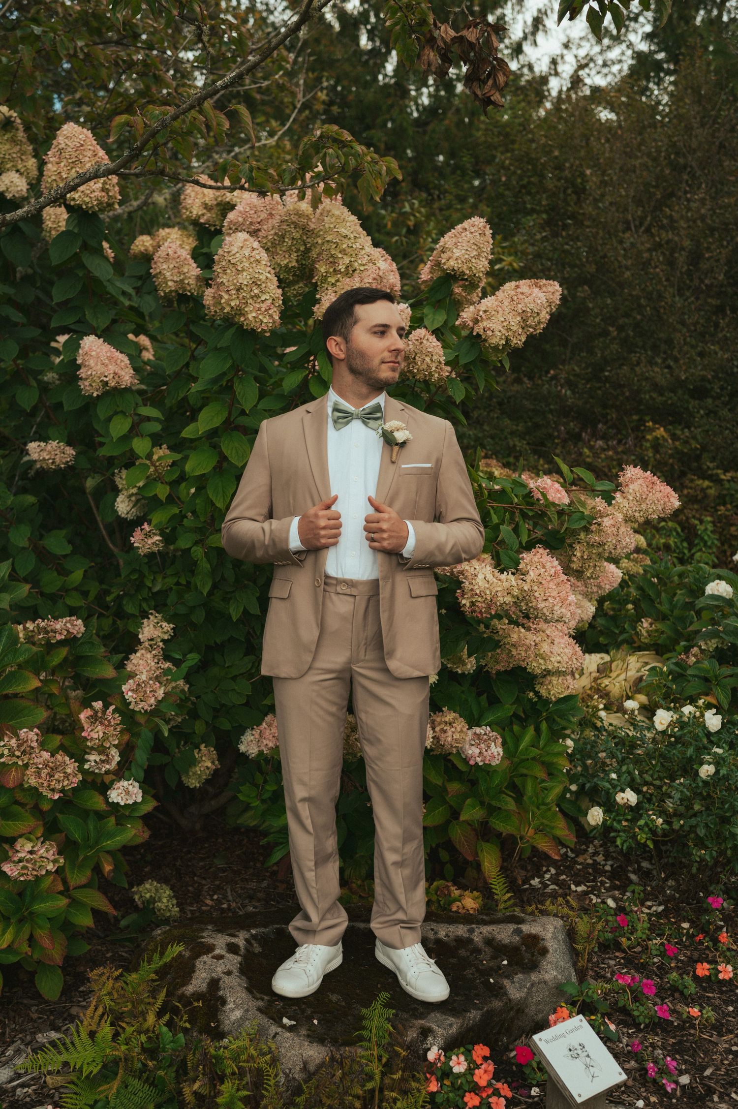 Groom in tan suit poses against flowering hydrangea bushes in garden setting.