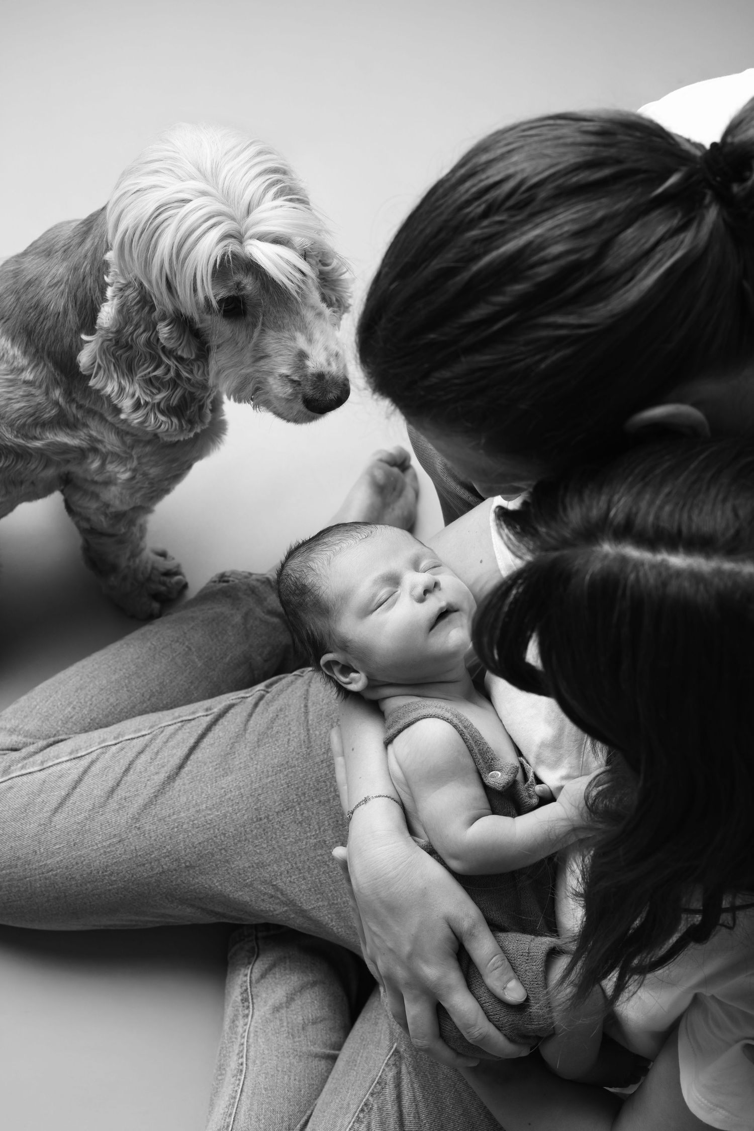 Black and white photo of two women and a small dog lovingly gazing at a sleeping newborn baby.