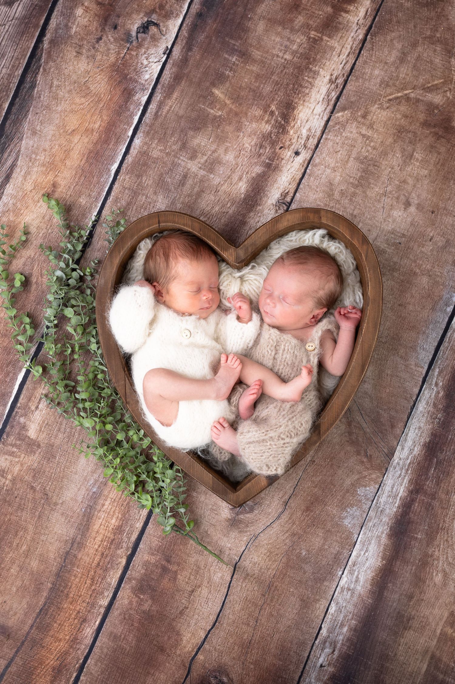 Twin newborns sleeping in wooden heart-shaped bowl with green eucalyptus on rustic wood floor.