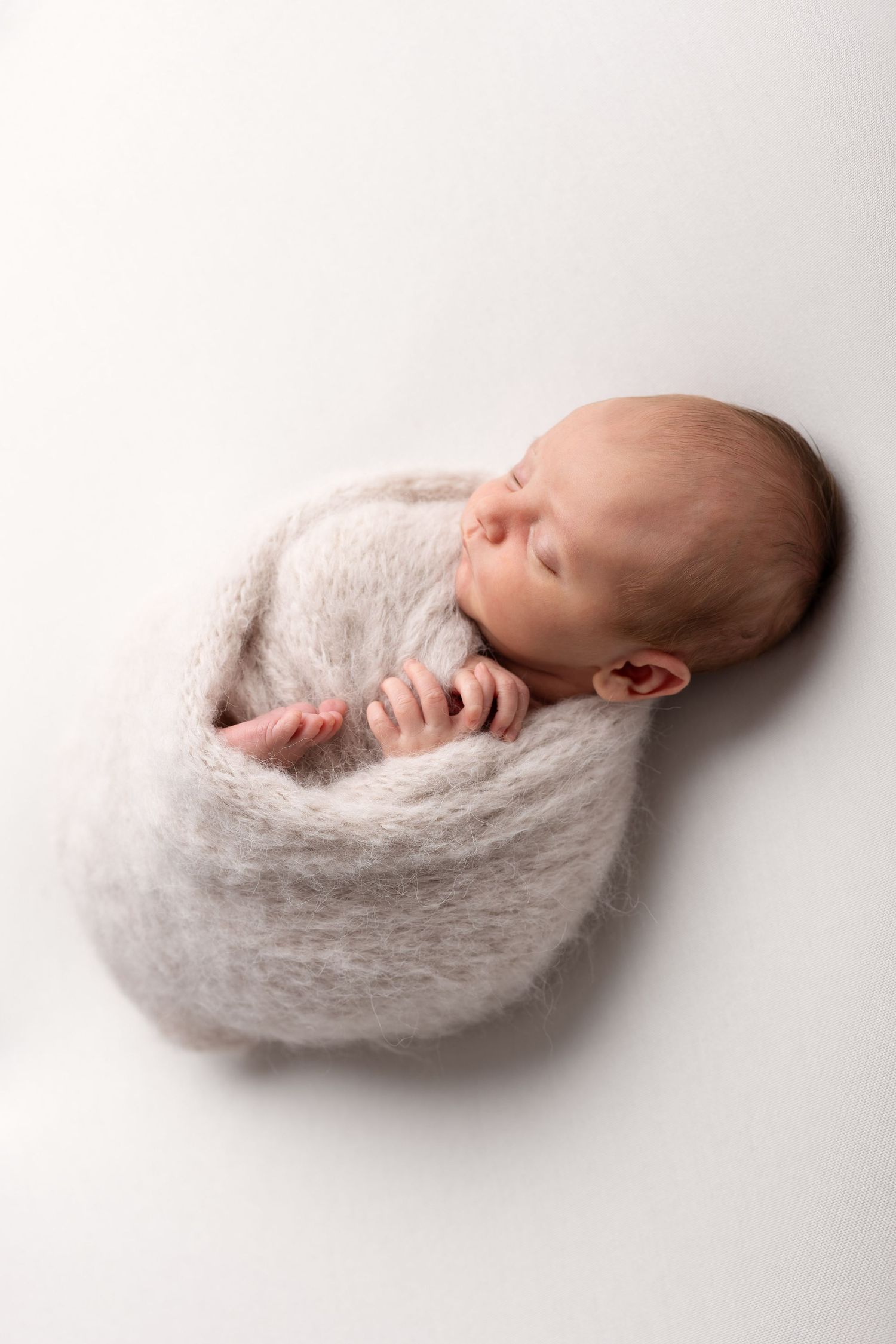 Peaceful sleeping newborn baby wrapped snugly in soft grey knit blanket on white background. photographe naissance chavanoz lyon