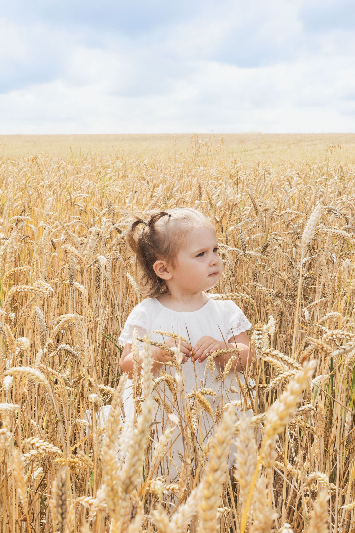 Young girl in white dress standing in golden wheat field under cloudy sky.