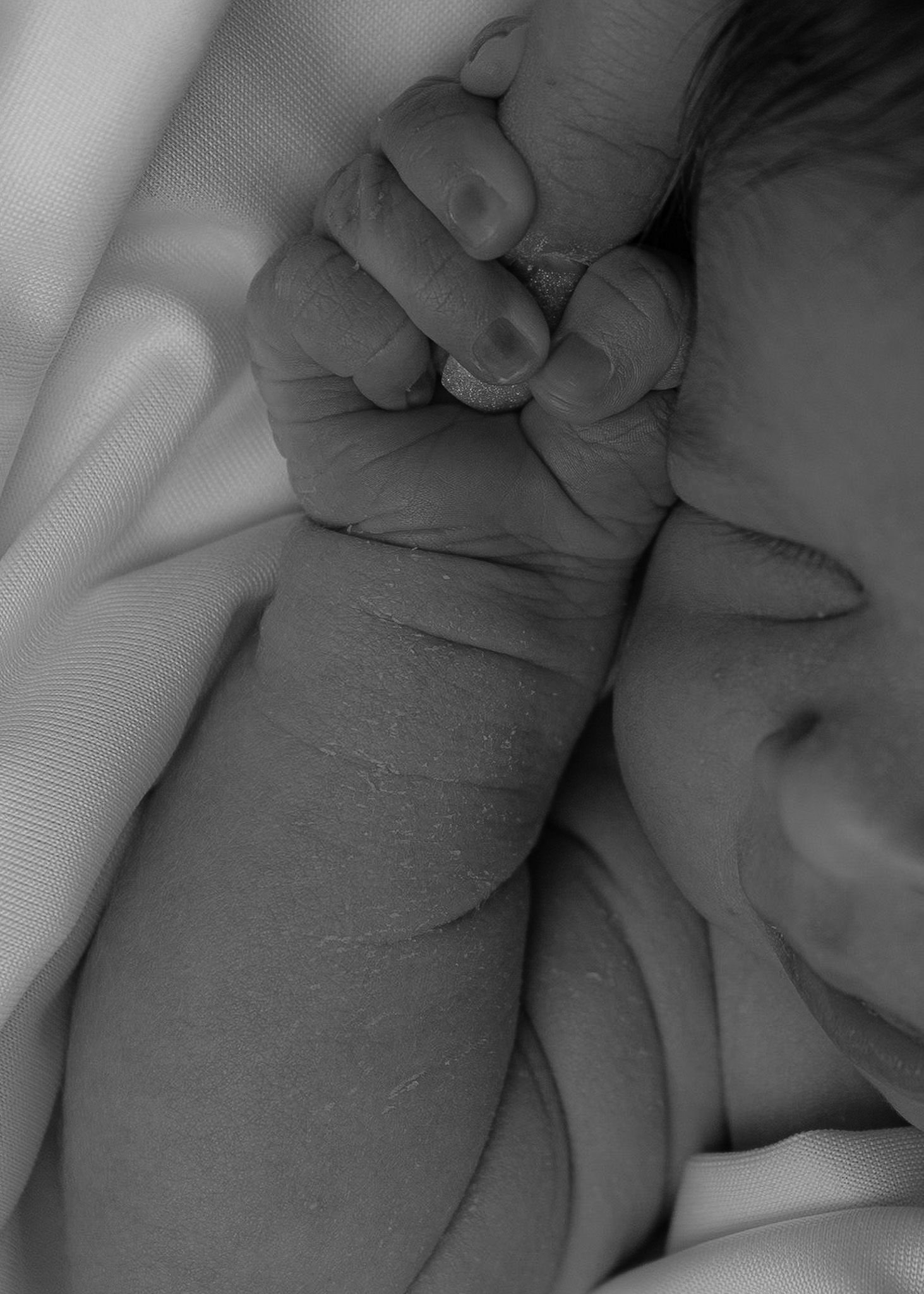 detail photograph of newborn baby hand holding parent's finger.