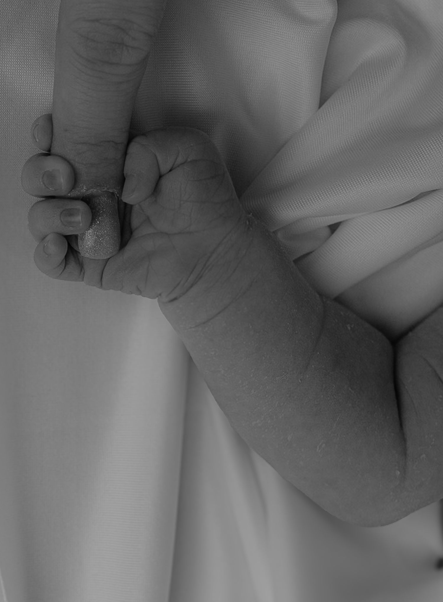 detail photograph of newborn baby hand holding parent's finger.