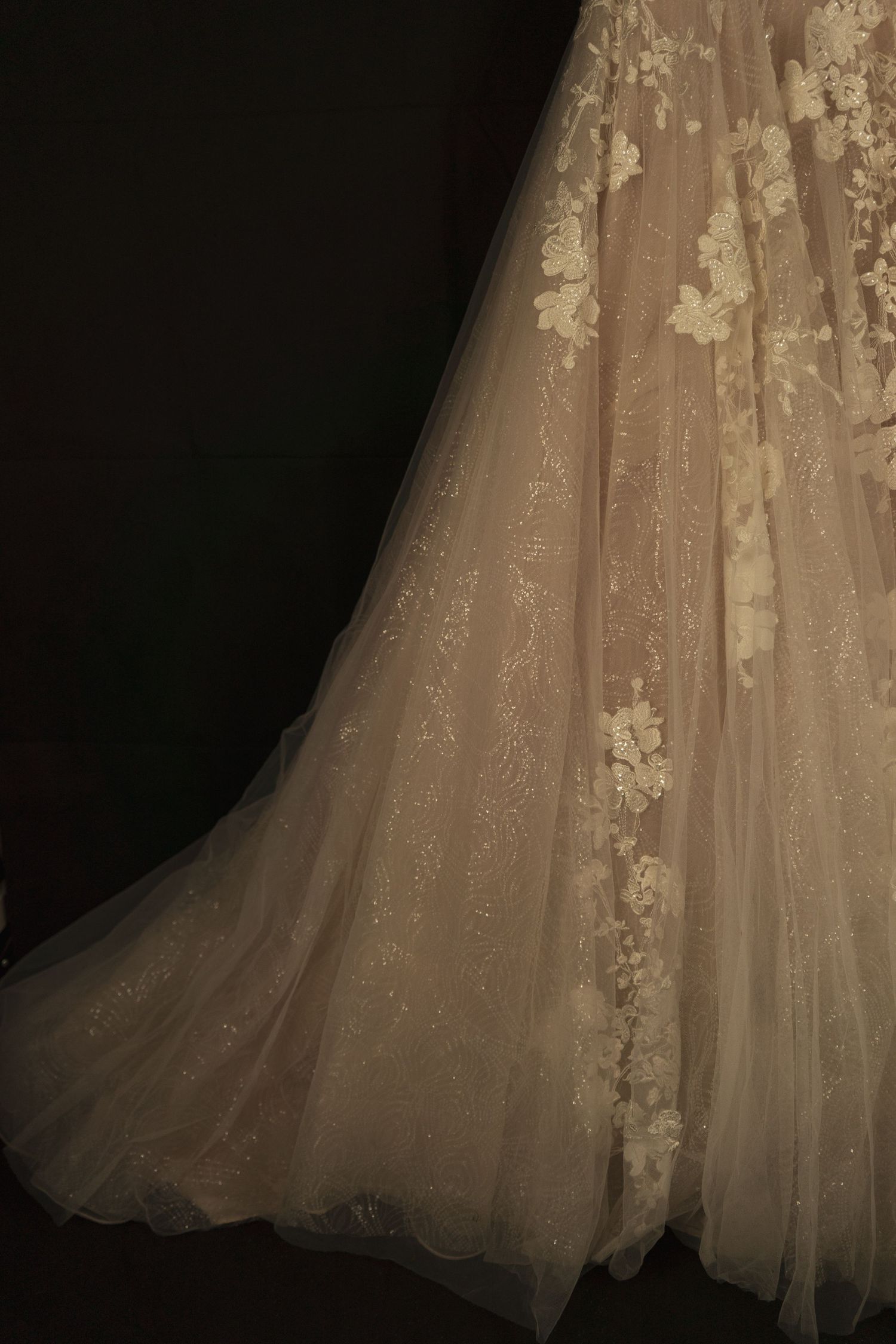 Champagne wedding dress with lace detailing photographed against a black background.