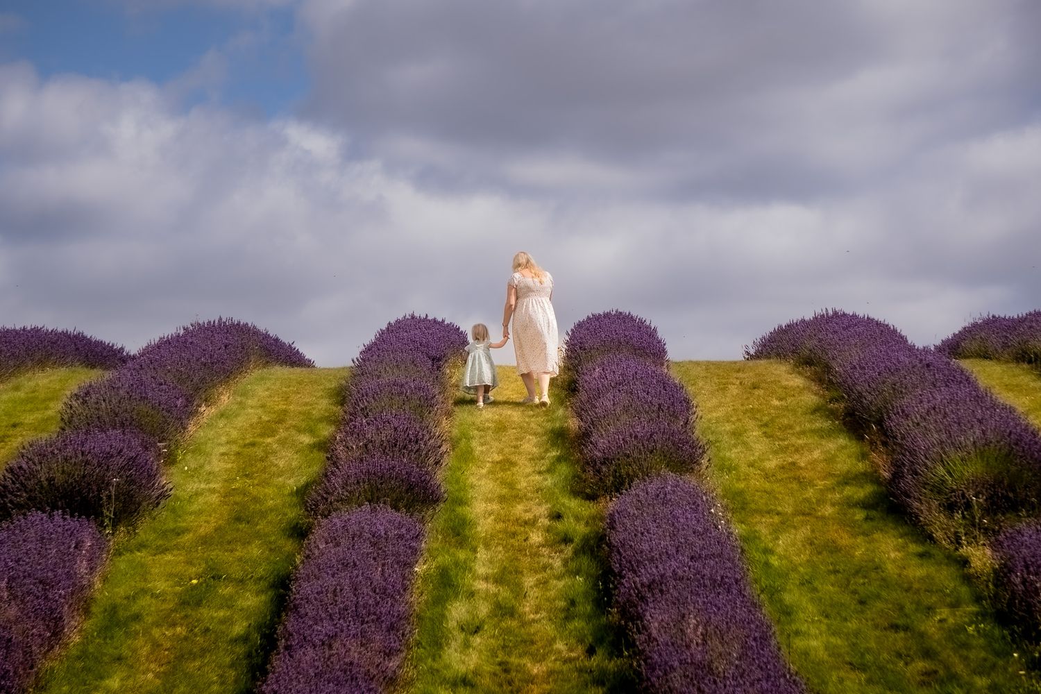 Mum and daughter walking hand in hand at the Lavender Fields in Kinross.