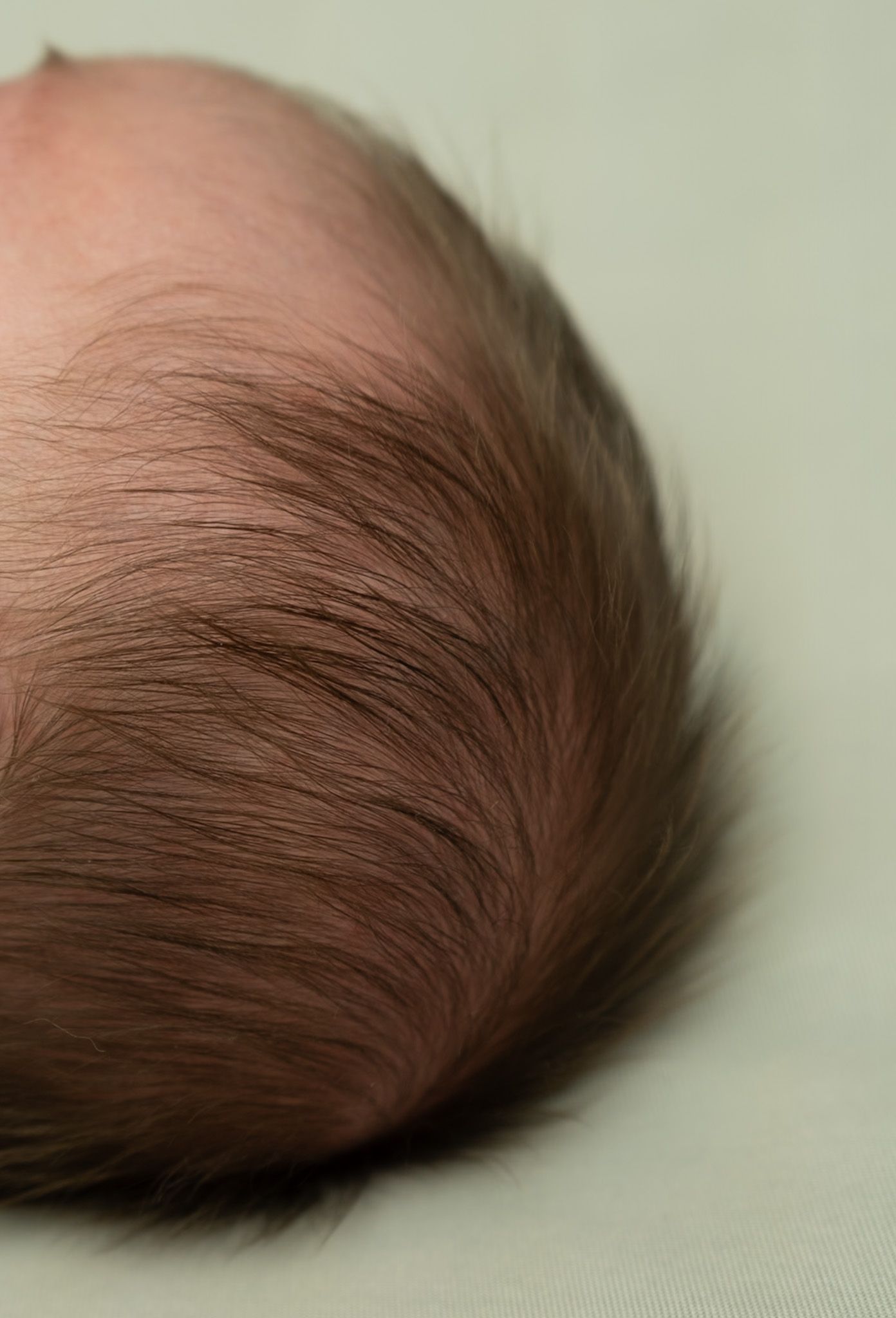 Close up of baby's hair
