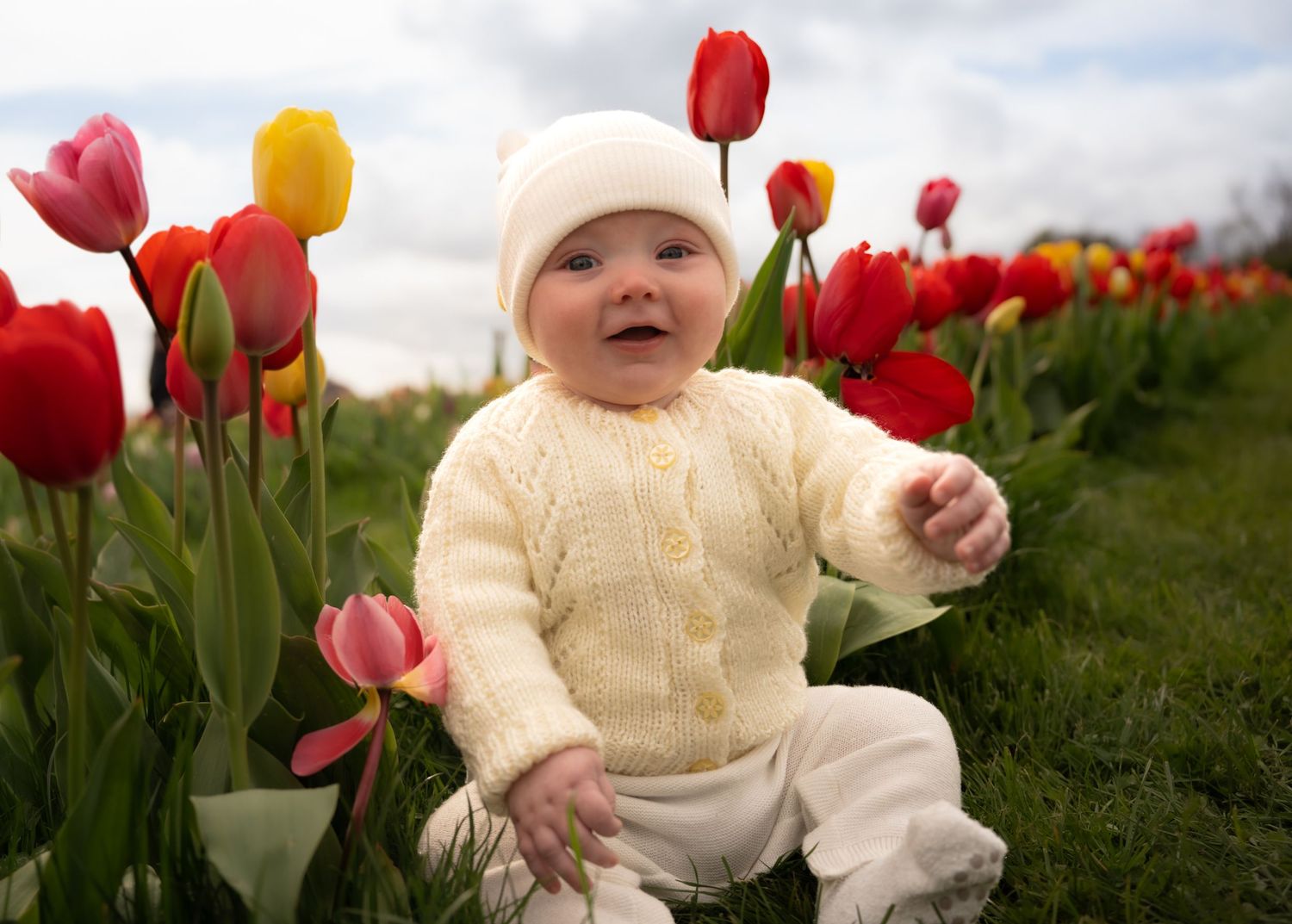 South Queensferry Edinburgh family photography baby bot in a tulip field during spring outdoor photoshoot