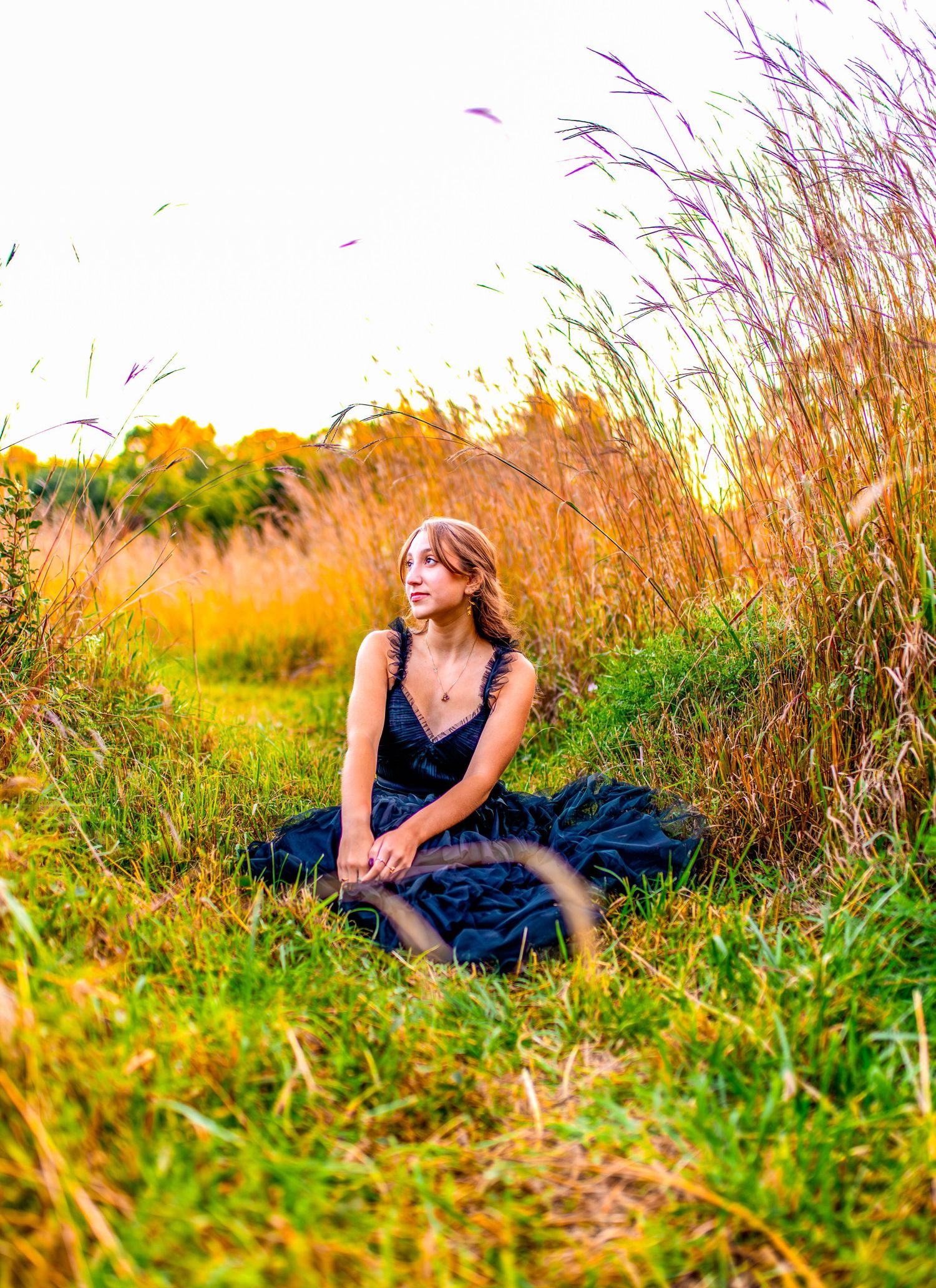 Blue dress portrait session in tall grass field during golden hour.