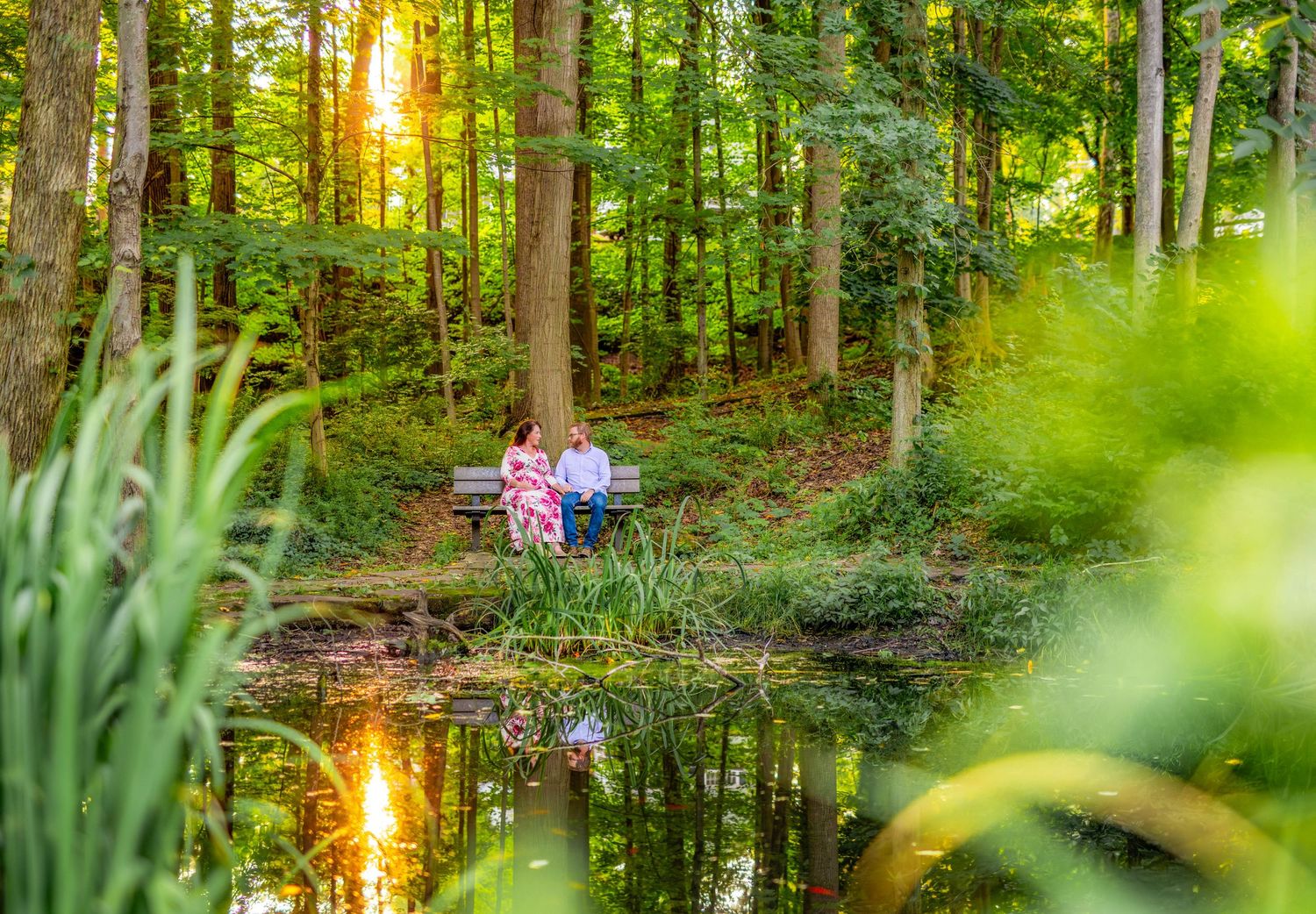 Forest scene with sunlight streaming through trees and a pond reflecting golden light at sunset.