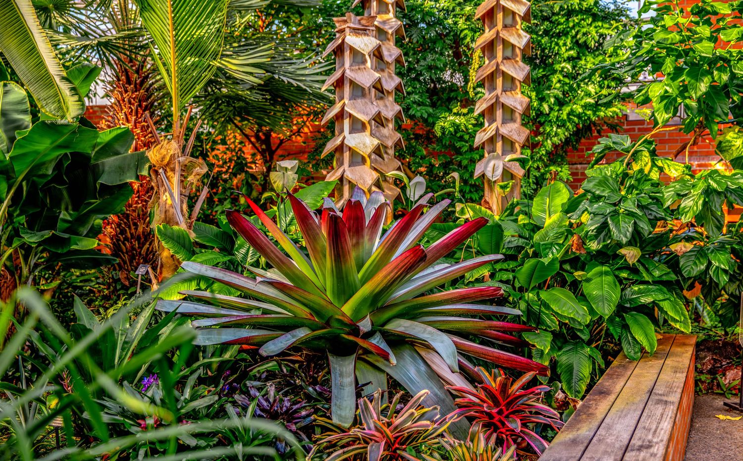 Tropical garden walkway with colorful bromeliads and exotic plants lining wooden pathway.