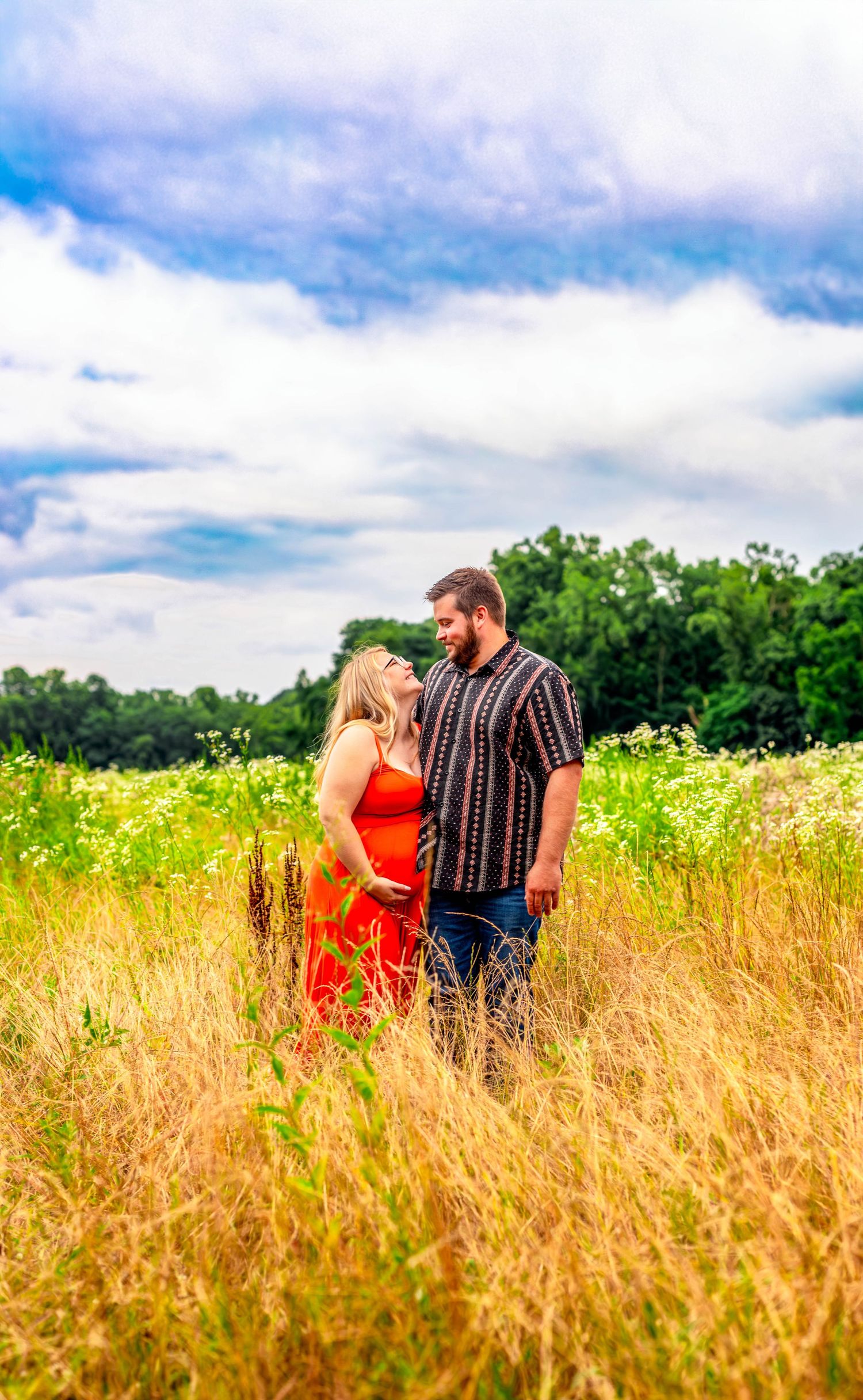 Golden field with tall grass swaying under a cloudy summer sky.