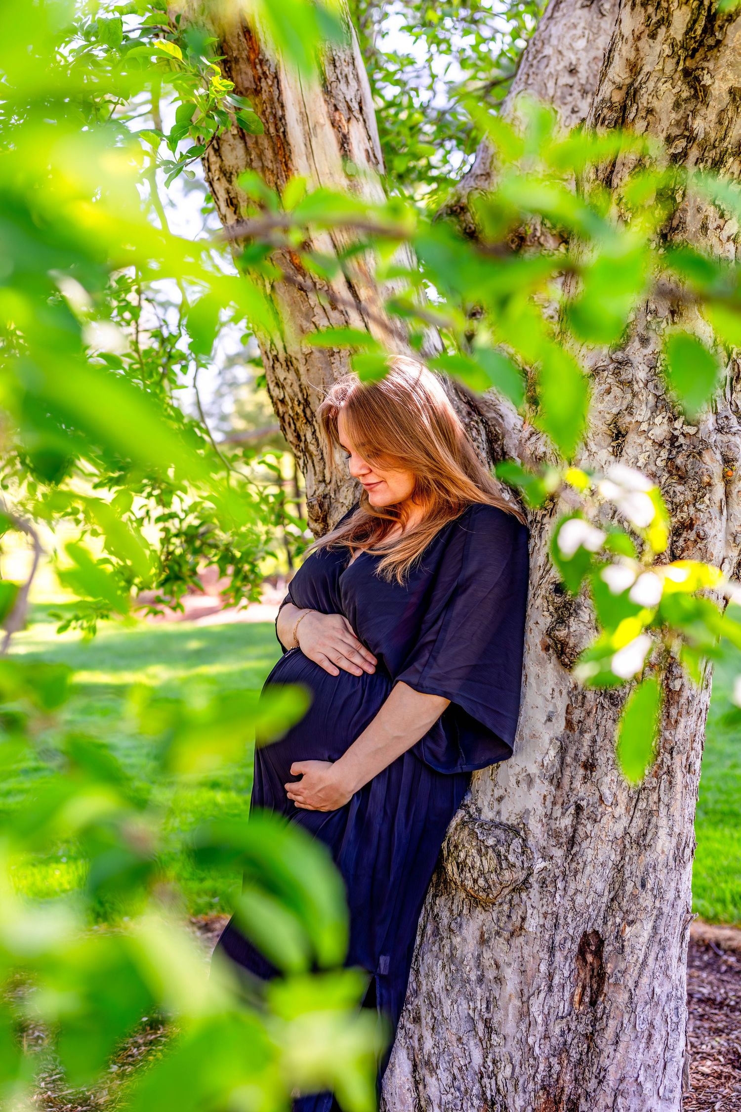 Maternity photos against tree trunk with soft green backlit leaves.
