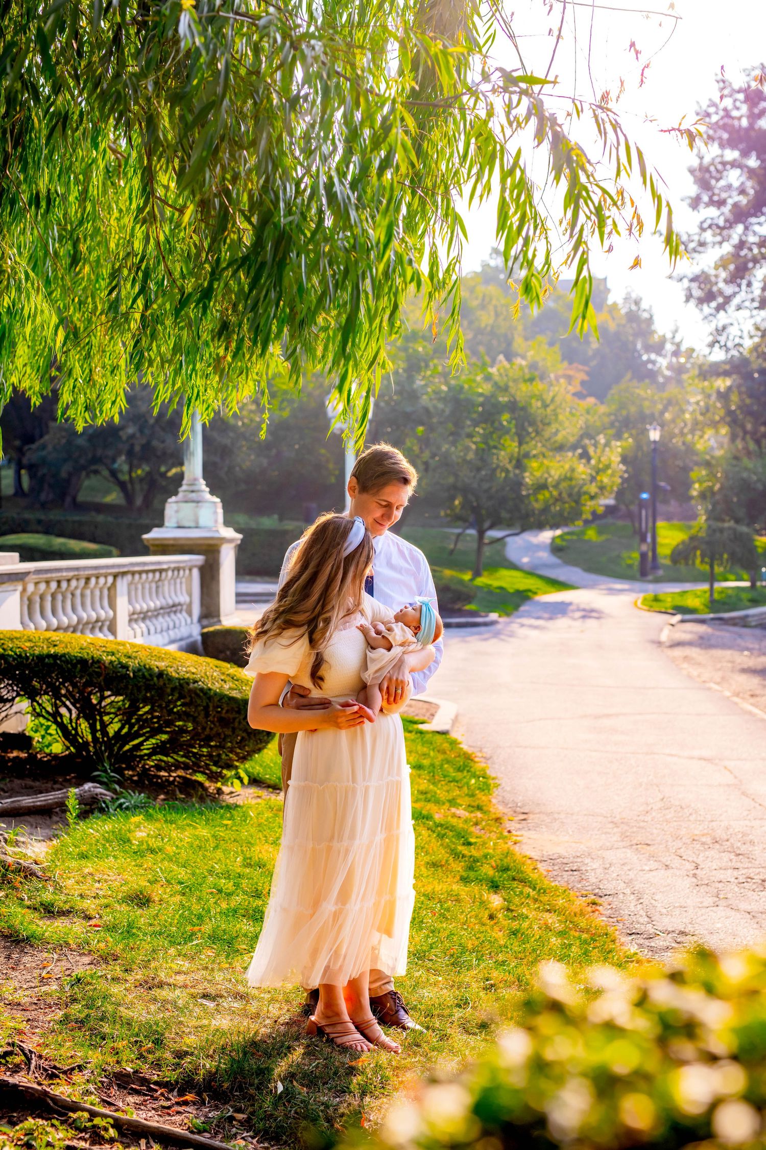 Romantic garden path under weeping willow trees during golden hour.