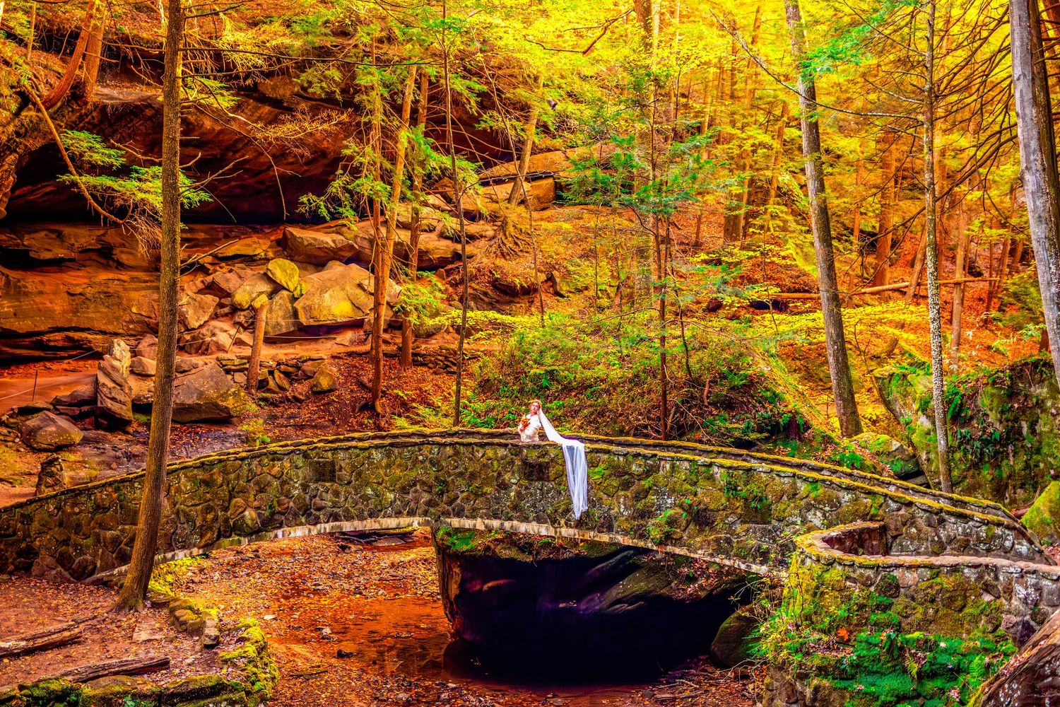 Autumn forest landscape with vibrant orange and red foliage covering rocky terrain.