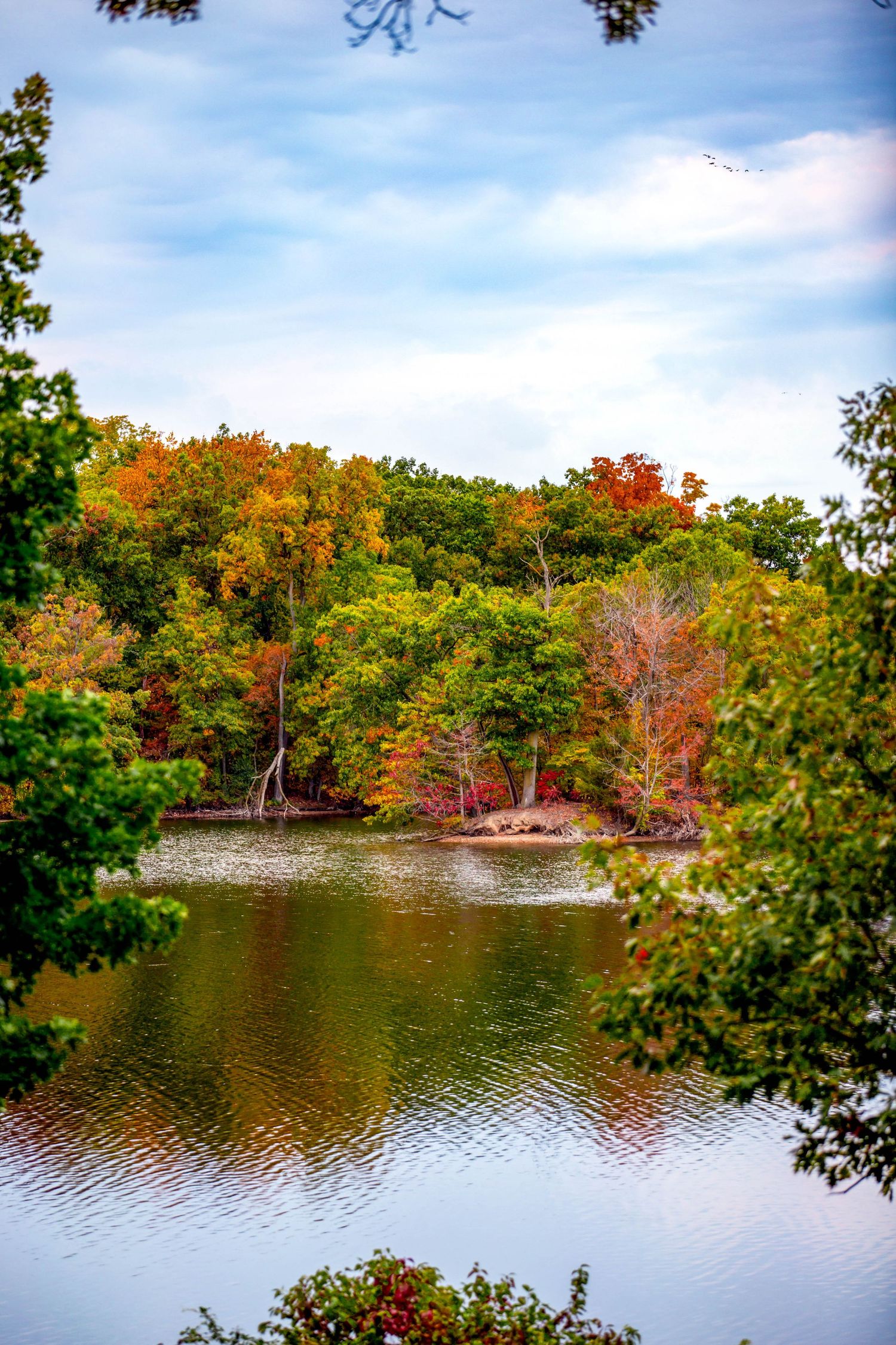 Serene autumn lake scene with colorful fall foliage reflecting on calm water under blue sky.