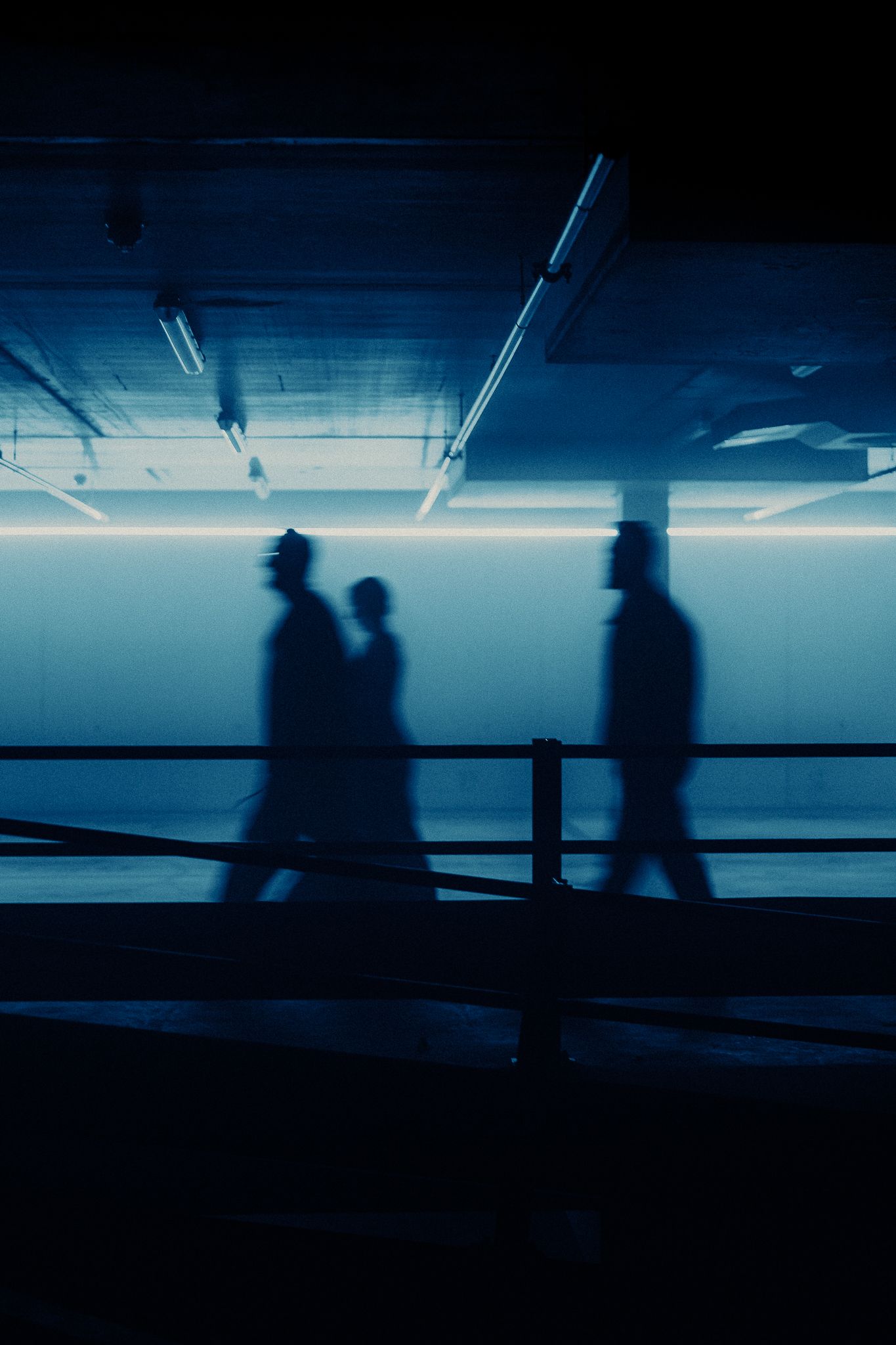 audio obscura bradamedia nightlife