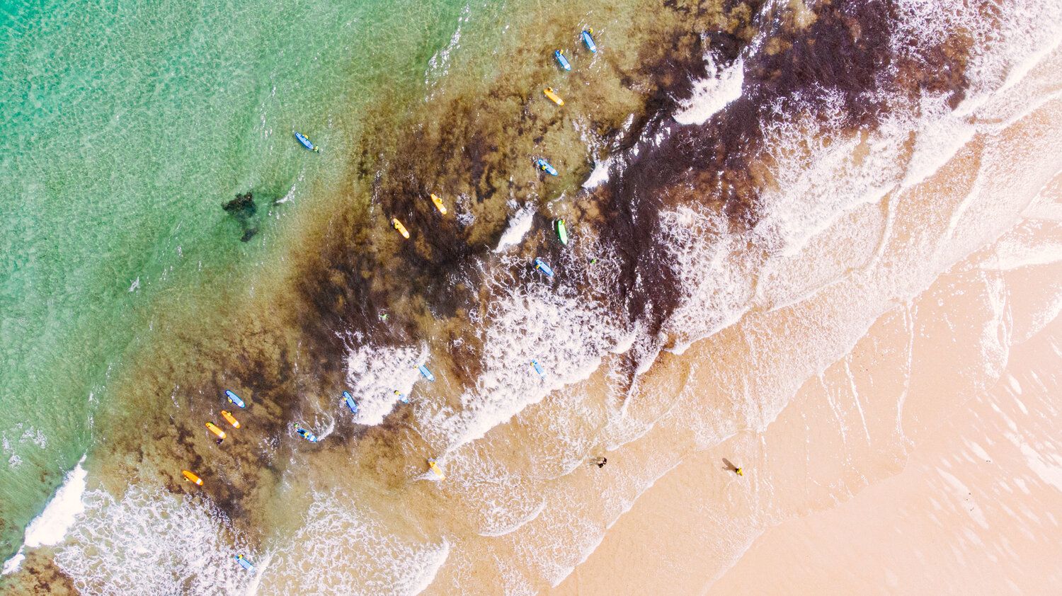 drone stran bradamedia natuur vakantie