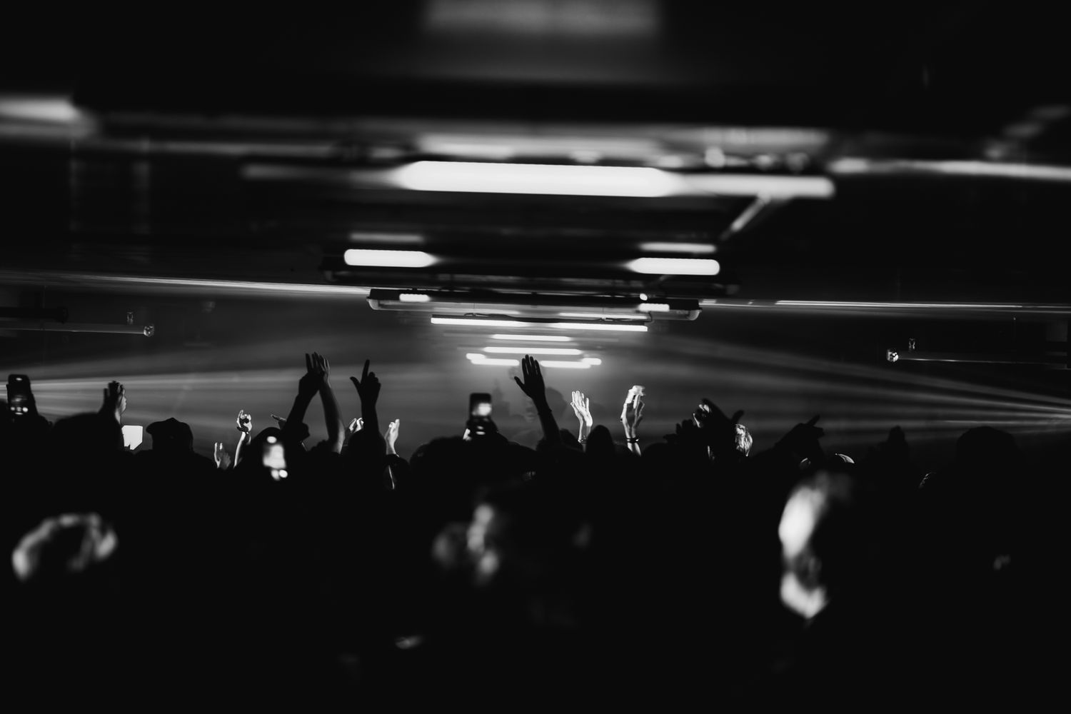 nightlife house rave bradamedia audio obscura