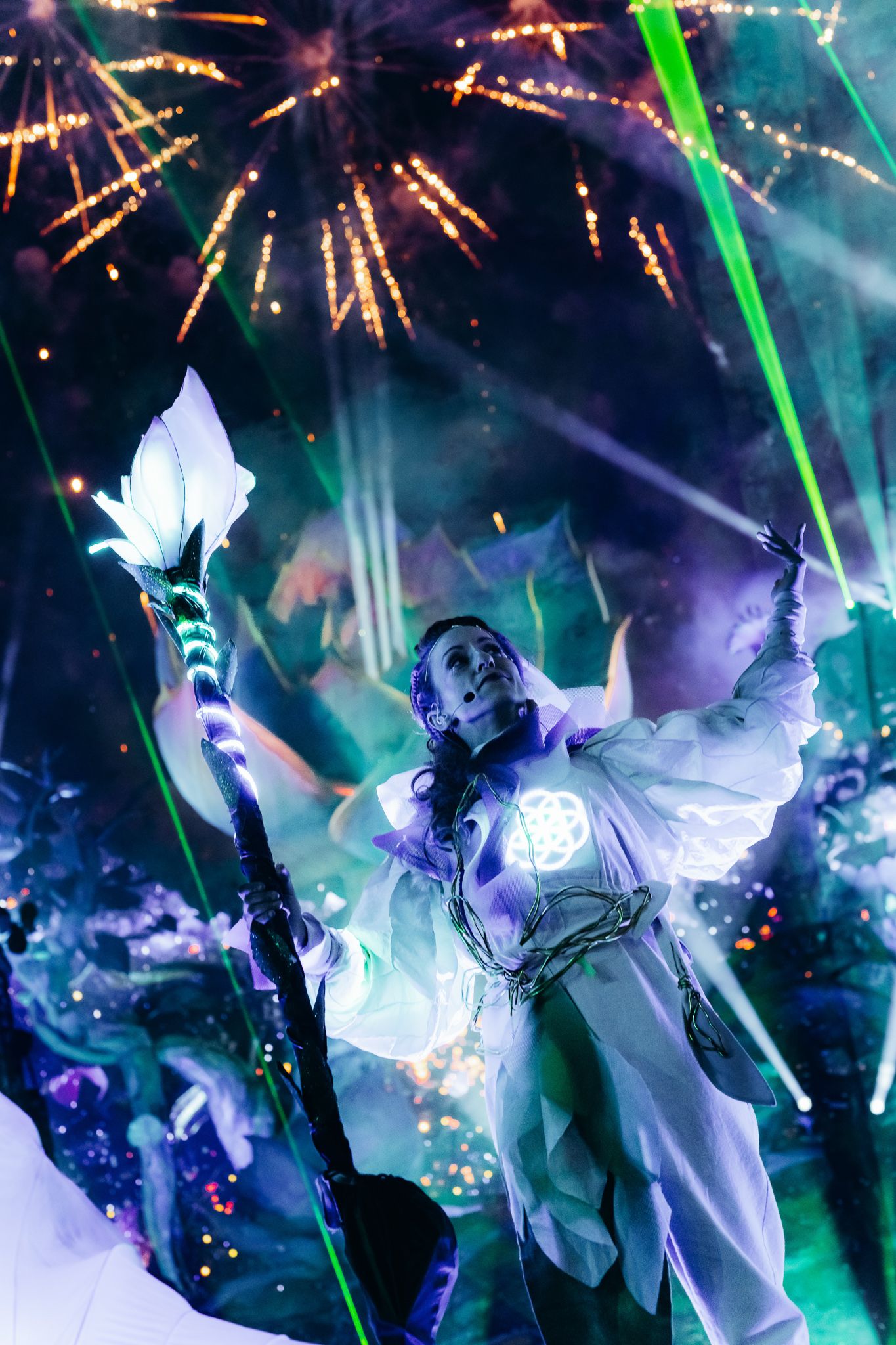 Bradamedia optreden fotografie festivalproductie edm fotografie crowdfotografie