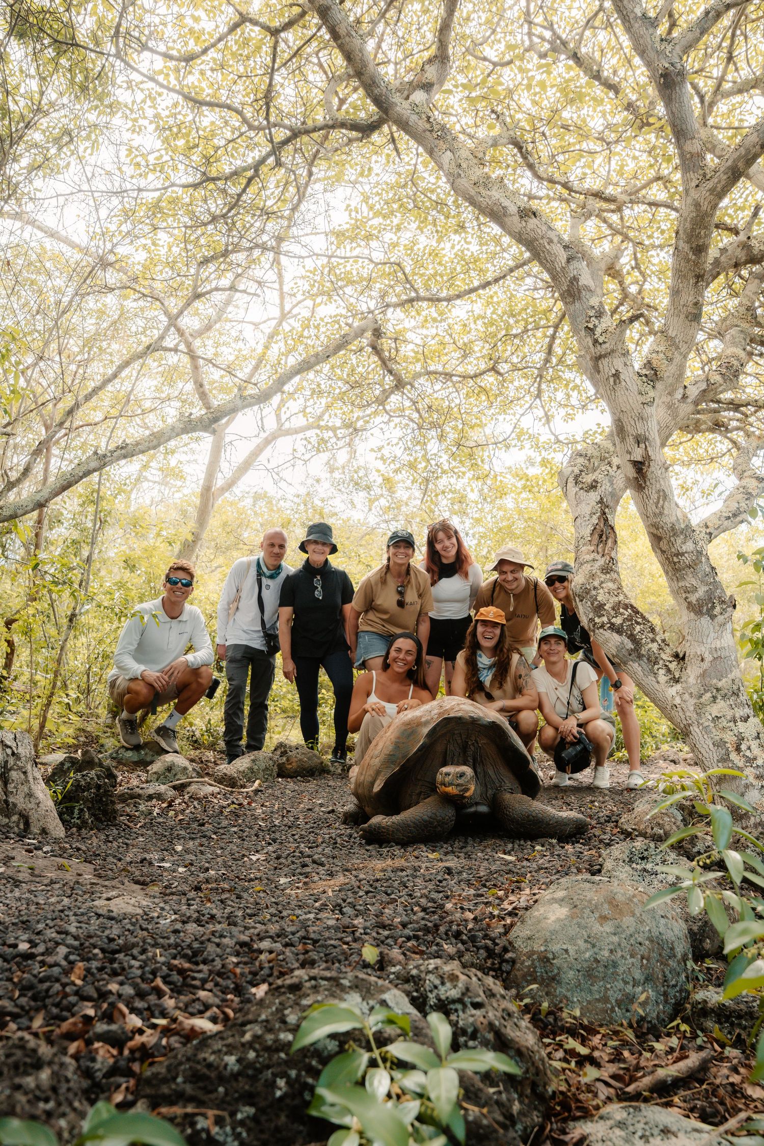 Group of tourists posing with a giant Galapagos tortoise in a lush forest setting.