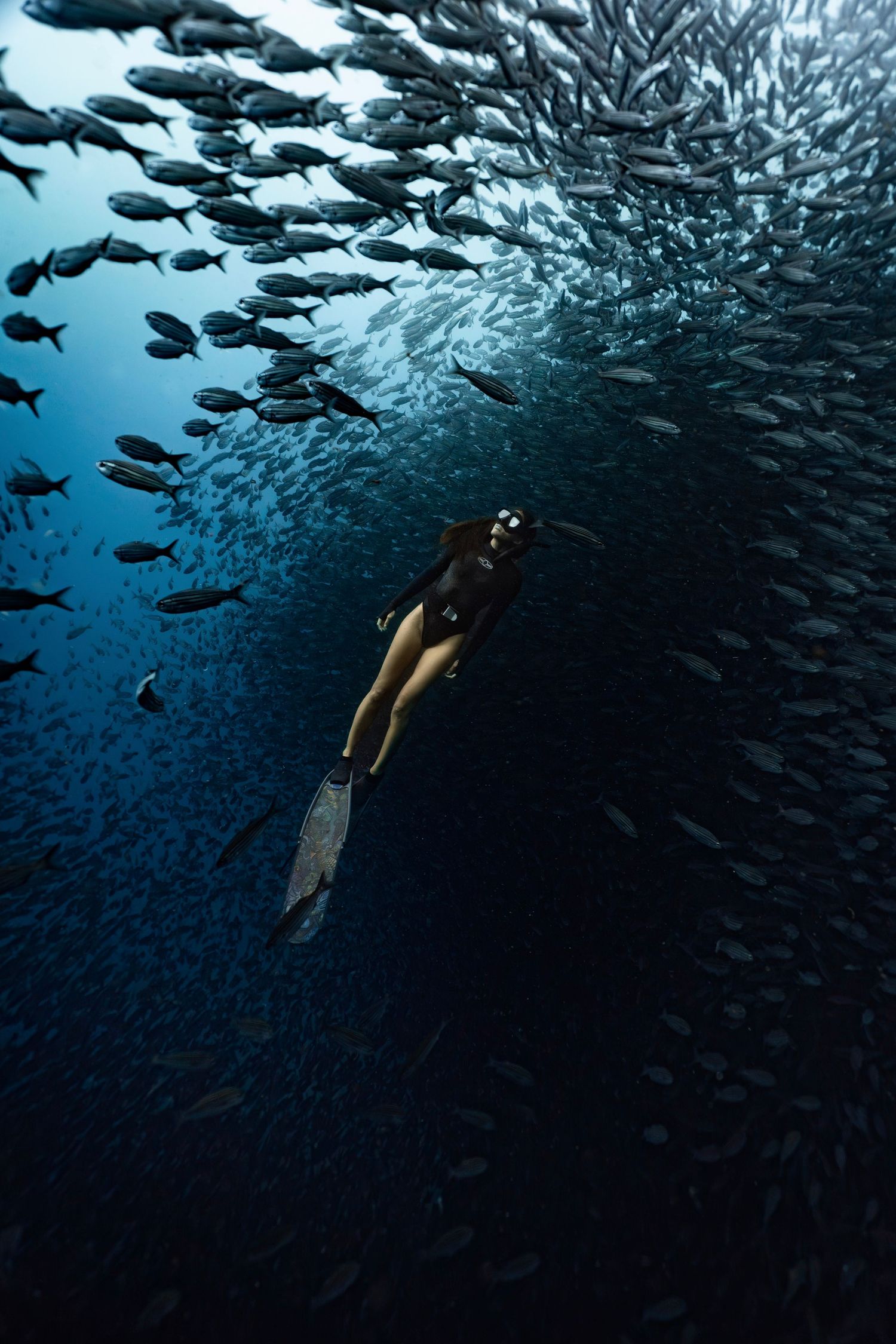 A freediver swims beneath a dense school of fish in deep blue ocean waters.