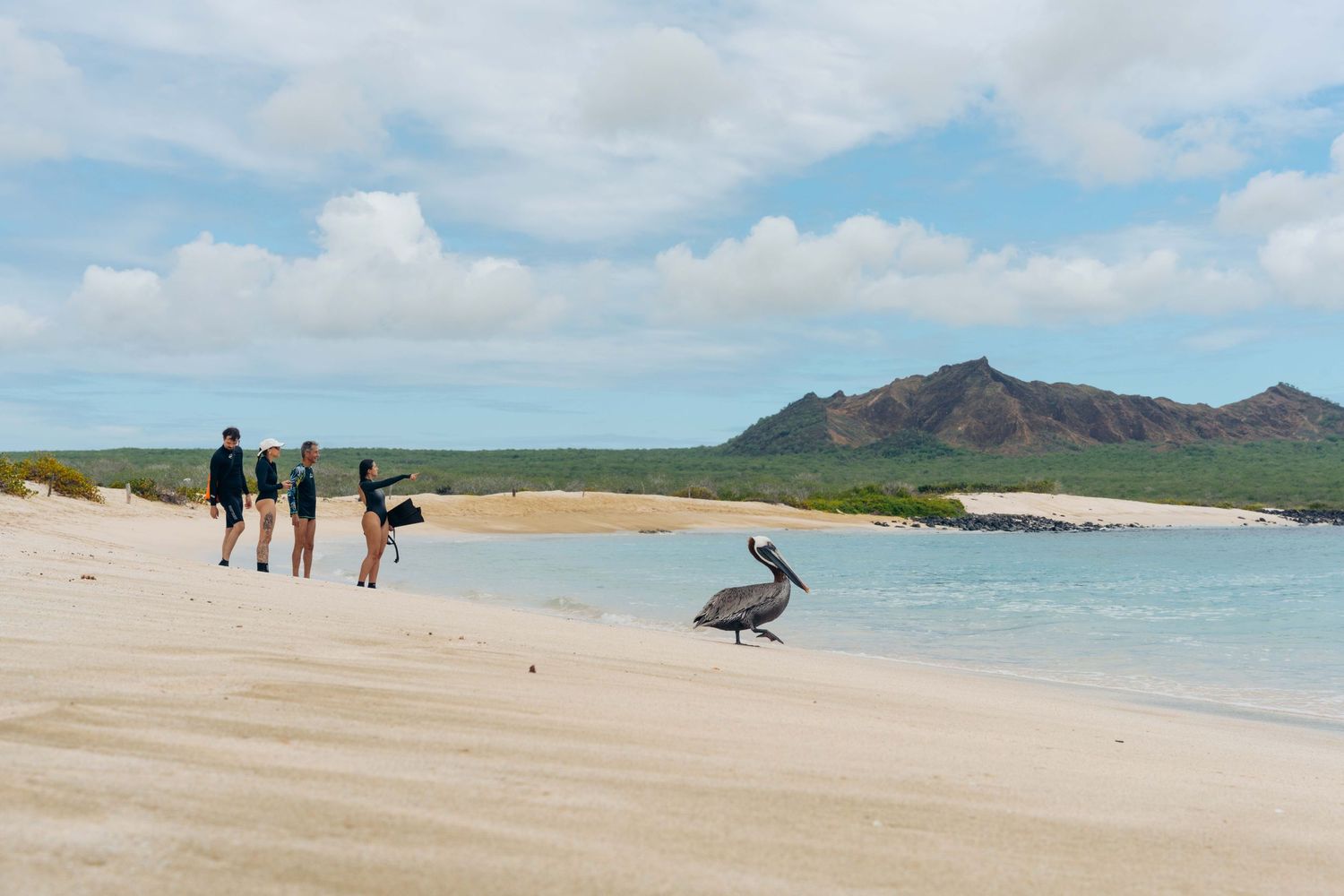 A group of people walking on a pristine white sand beach with turquoise waters and mountains in the distance.